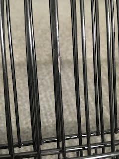 VEVOR 64-inch Open Top Large Parrot Bird Cage with Detachable Rolling Stand for Parakeets Finches Canaries Lovebirds Cockatiels Budgies Small Quaker Conures Flight Birdcage with Swing and Perch customer photo 2