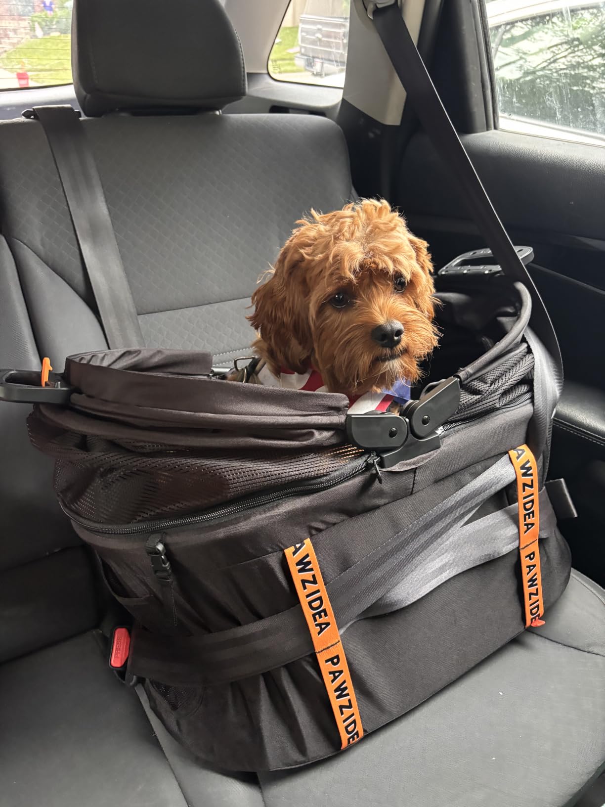 PAWZIDEA Portable Dog Crate for Car Travel, Medium & Large Dogs Up to 80lbs customer photo 1
