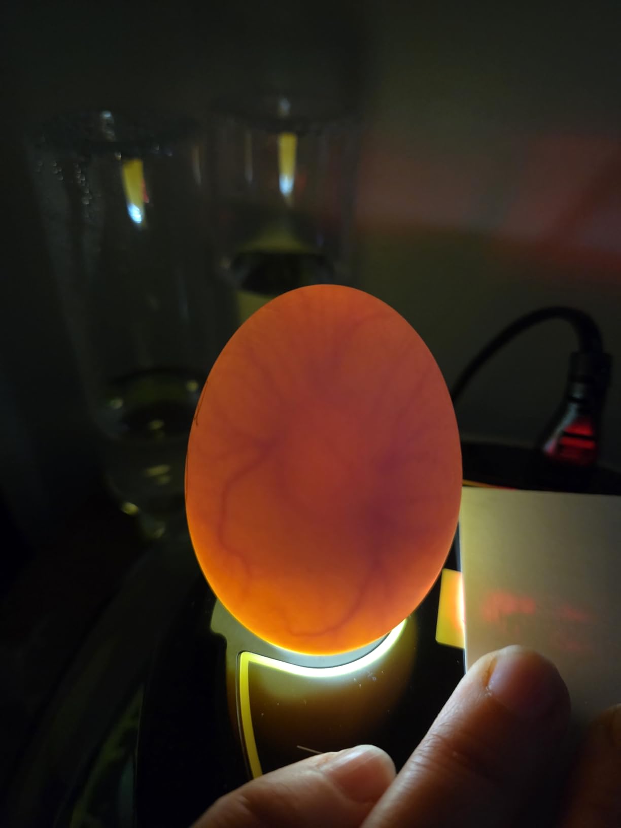 Incubators for Hatching Eggs 12 Egg Incubator with Automatic Egg Turning and Humidity Control,Egg Candler,Auto Water Replenishment,for Chicken Eggs and Quail Egg M12H customer photo 2