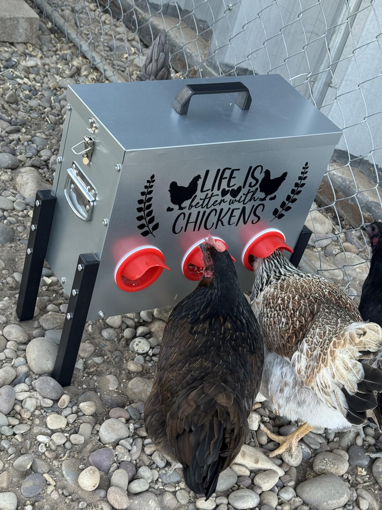 Tgeyd 30 lb Chicken Feeder with 6 No-Waste Ports – Heavy-Duty Outdoor Metal Feeder with Adjustable Height, Locking Lid & Riveted Handles – Rustproof Feed Box for Poultry & Backyard Chickens customer photo 2