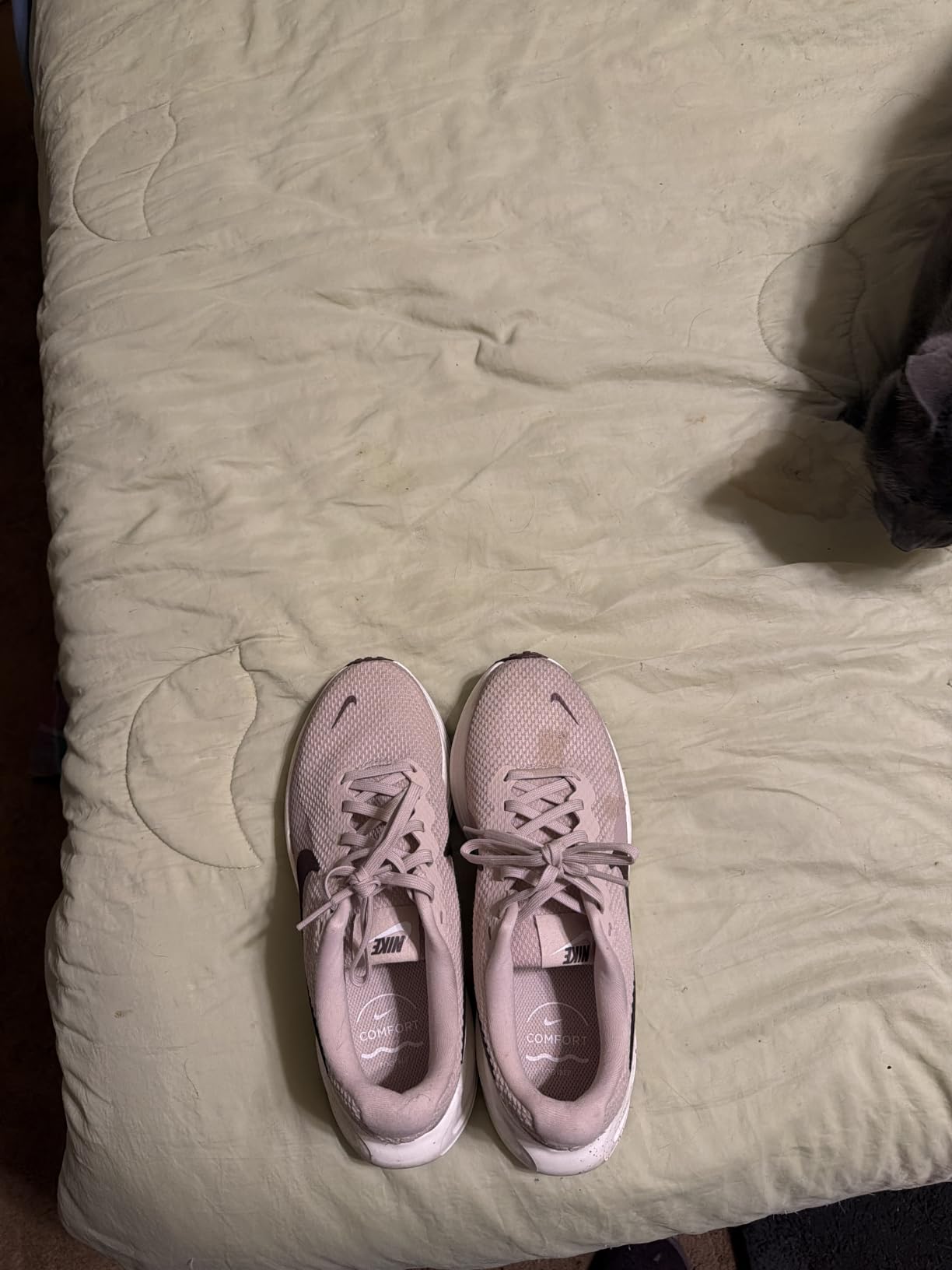 Nike Women's Revolution 8 Road Running Shoes customer photo 2