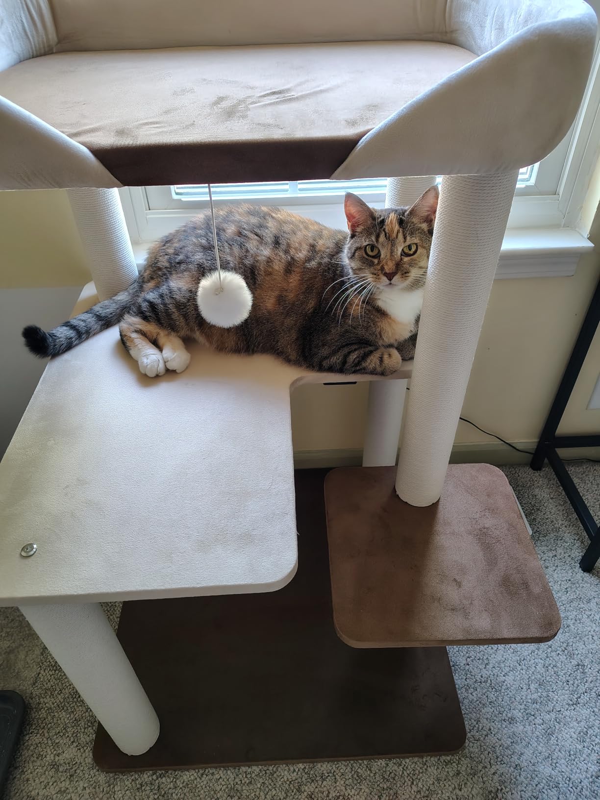 Cat Tree for Large Cats Modern Senior Friendly Wide Shelves 37.4'' customer photo 1
