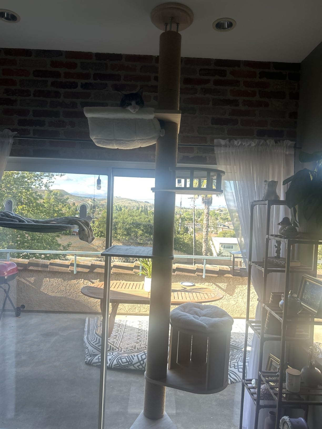 Aechonow 10.2ft Floor to Ceiling Cat Tree for Large Cats, Tall Cat Tower customer photo 2