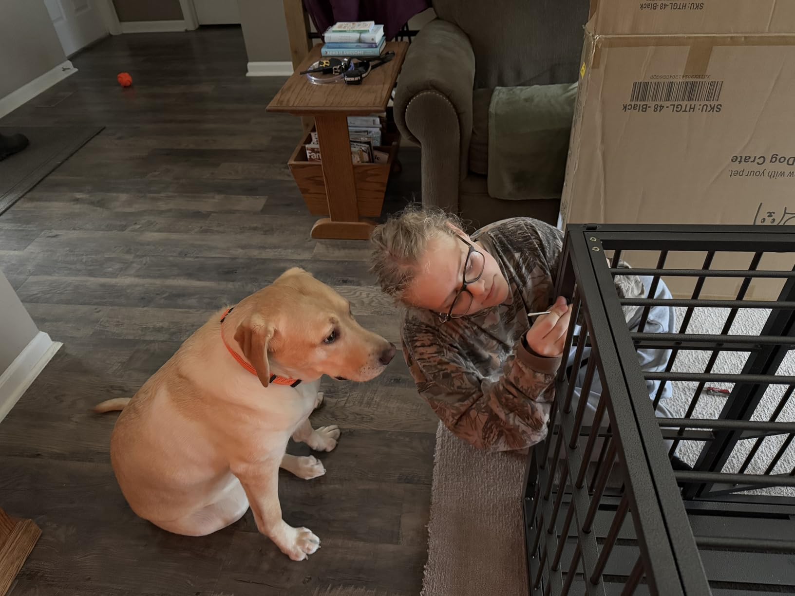 42 Inch Heavy Duty Dog Crate with Wheels,Indestructible Escape-Proof Dog Kennel with Locking Latch and Double Door,Extra Large XL XXL Crate Indoor for Large and Medium Dog with Removable Tray customer photo 2