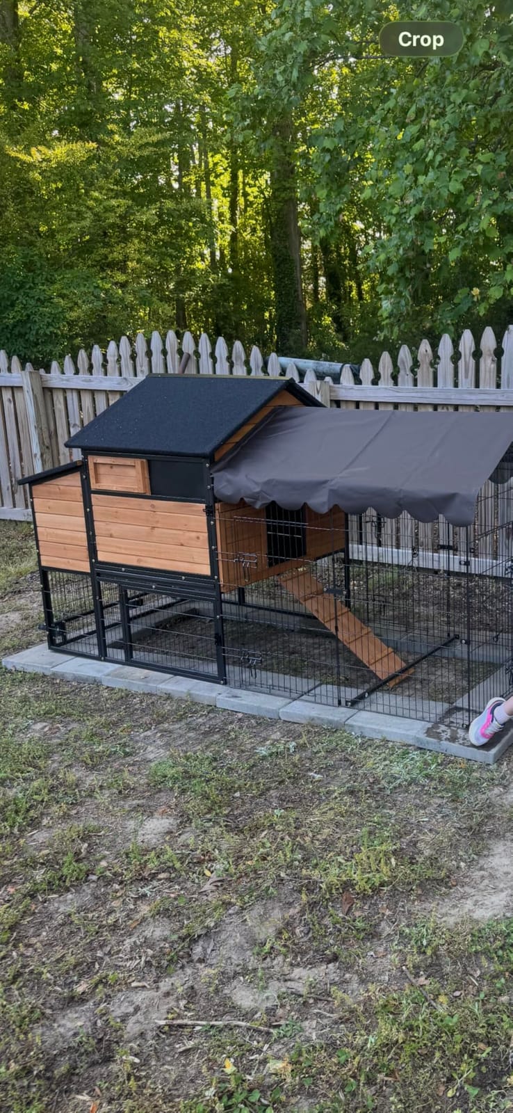 Large Chicken Coop for 6-8 Chickens,Wooden Hen House with Run,Outdoor Duck Coop with Nesting Box, Leakproof Pull-on Tray customer photo 1