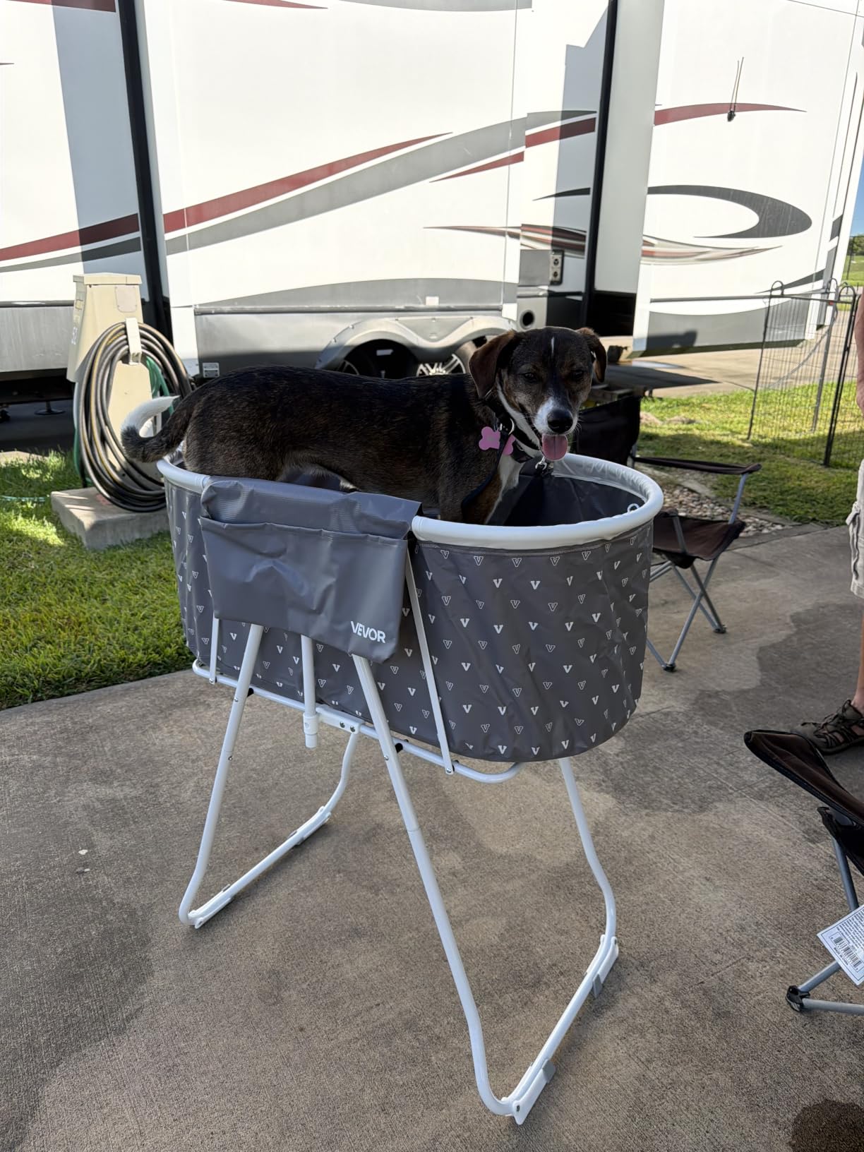 VEVOR Portable Dog Bathtub Foldable Pet Shower Station with Drain, Grey customer photo 2