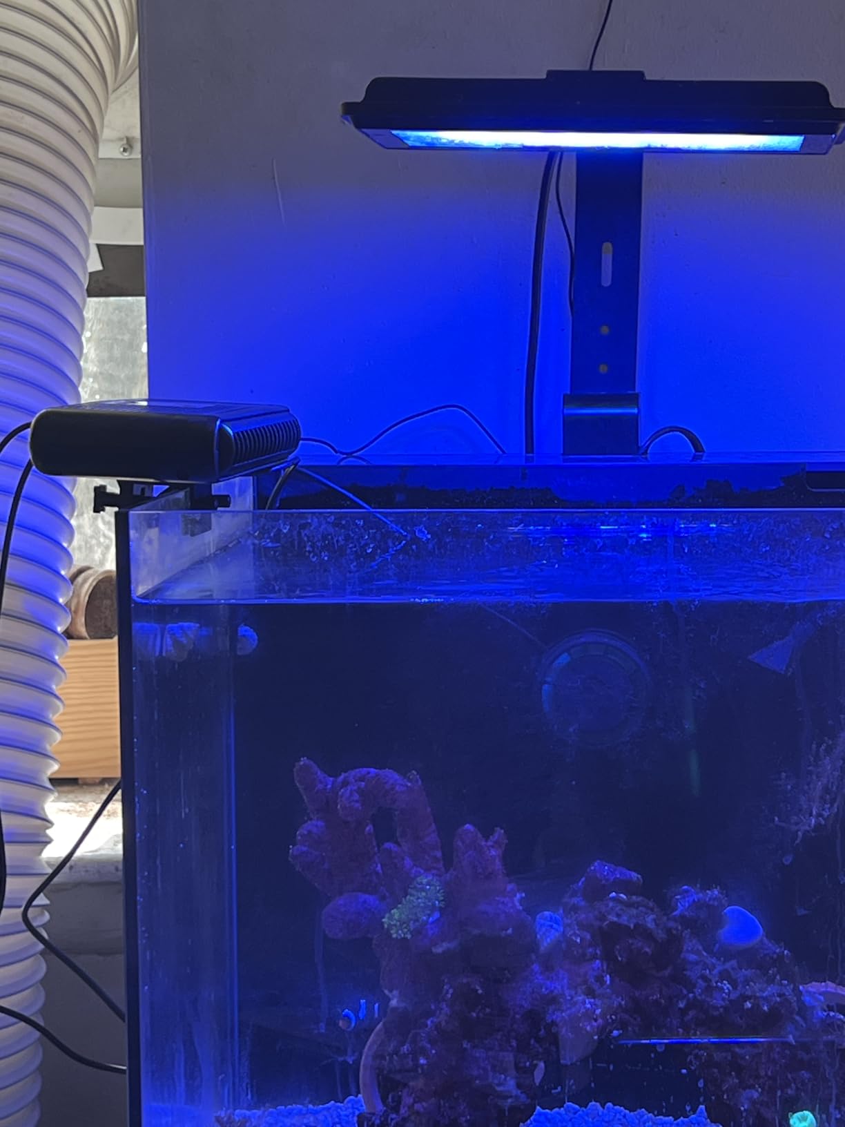 PAIZOO Aquarium Chiller Fan, Auto Temp Control Water Cooler with Temp Probe customer photo 1