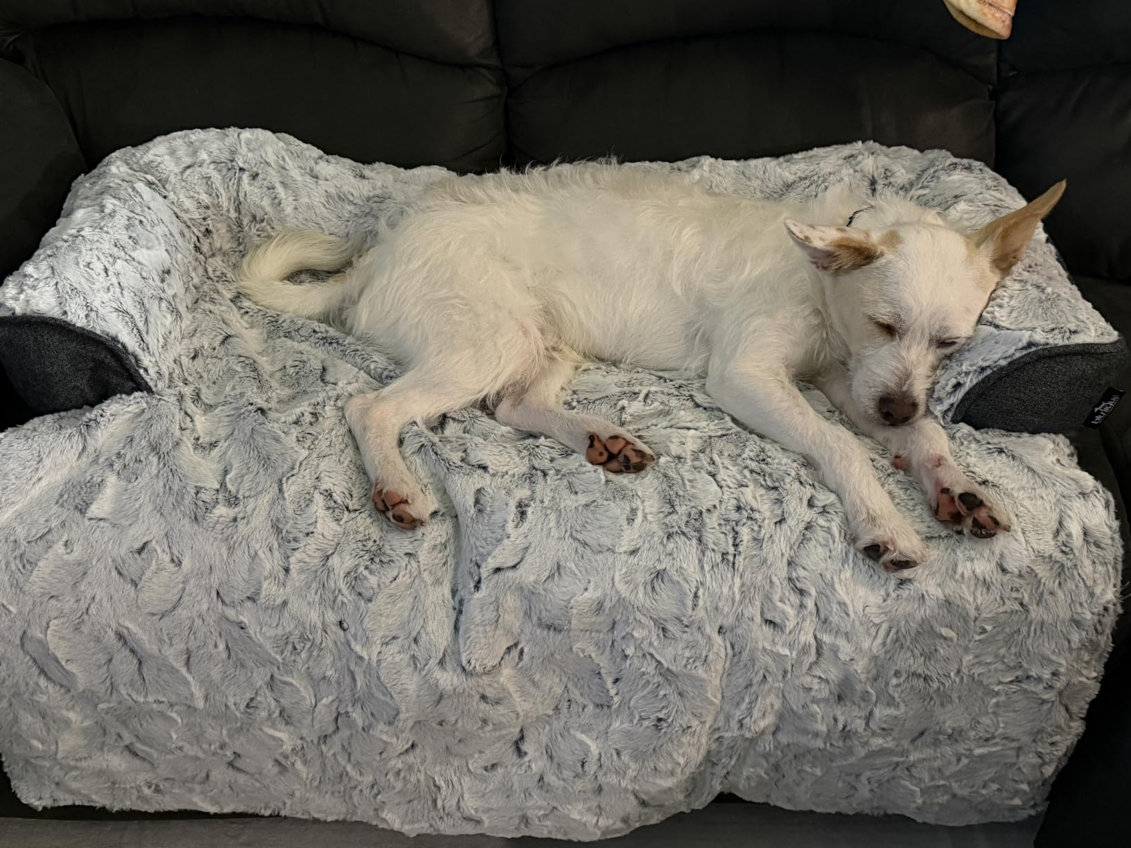 Medium Dog Cooling Bed for Sofa, 35x31 Inch Pets Couch Cover Mat customer photo 2