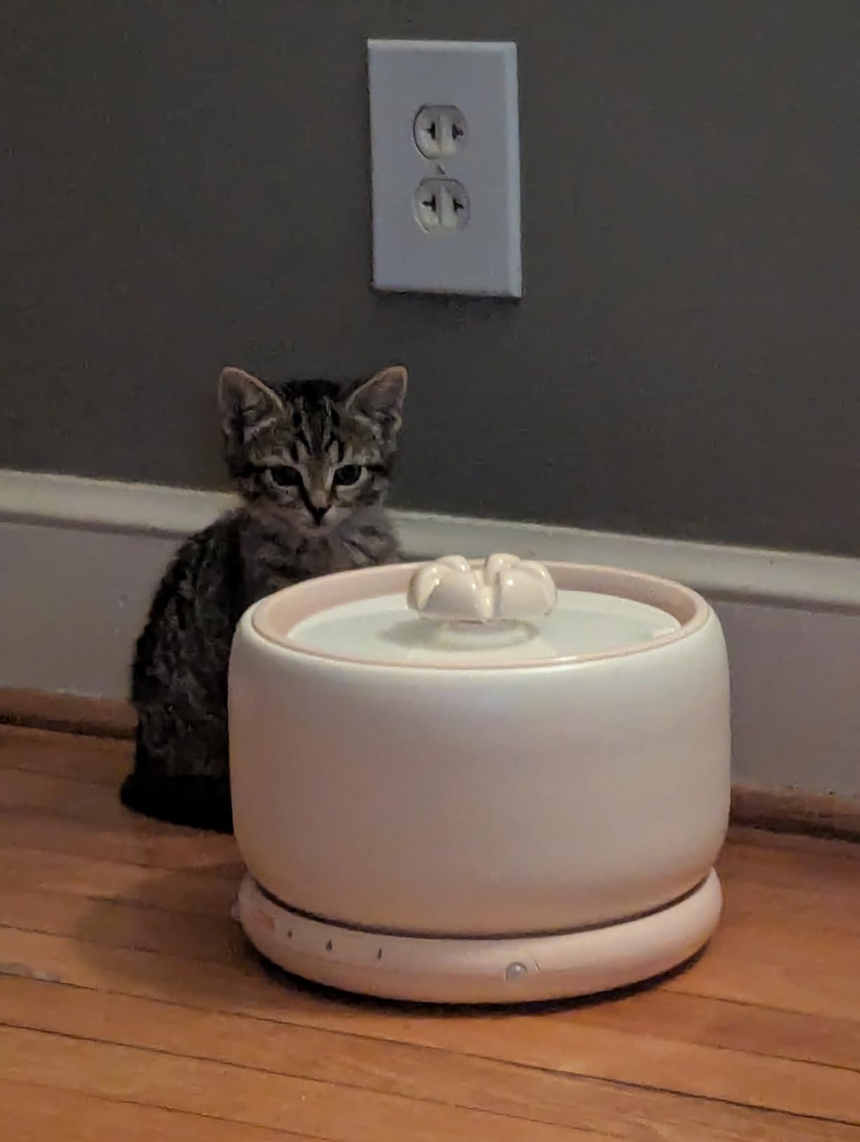 WOPET Premium Ceramic Cat Water Fountain W03 Lite，3L/101oz Automatic Pet Water Fountain for Cats & Dogs, Dishwasher Safe，Luxury Cat Fountain with Ultra-Quiet Pump and Filter & Sponge customer photo 1