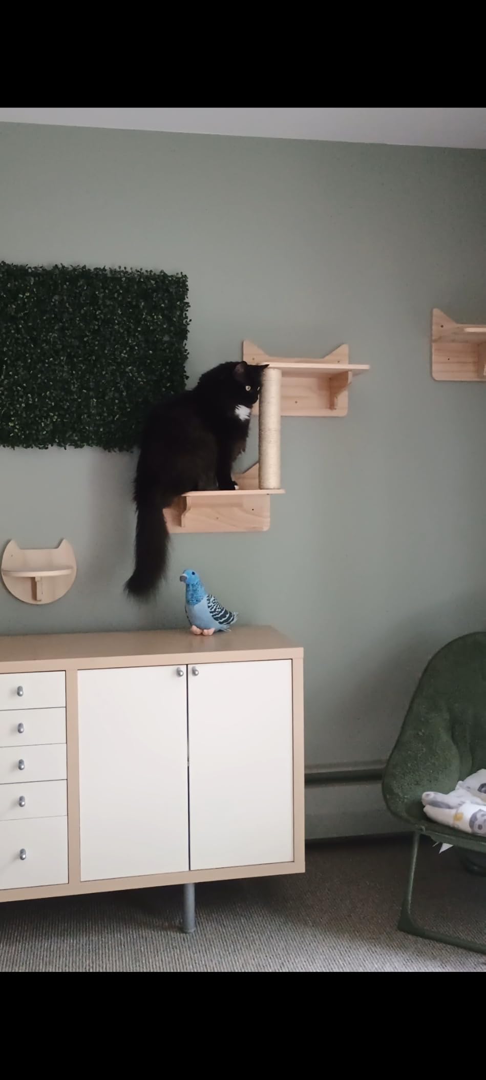 Wall Mounted Cat Tree, Cat Wall Shelves with Sisal Mats customer photo 1