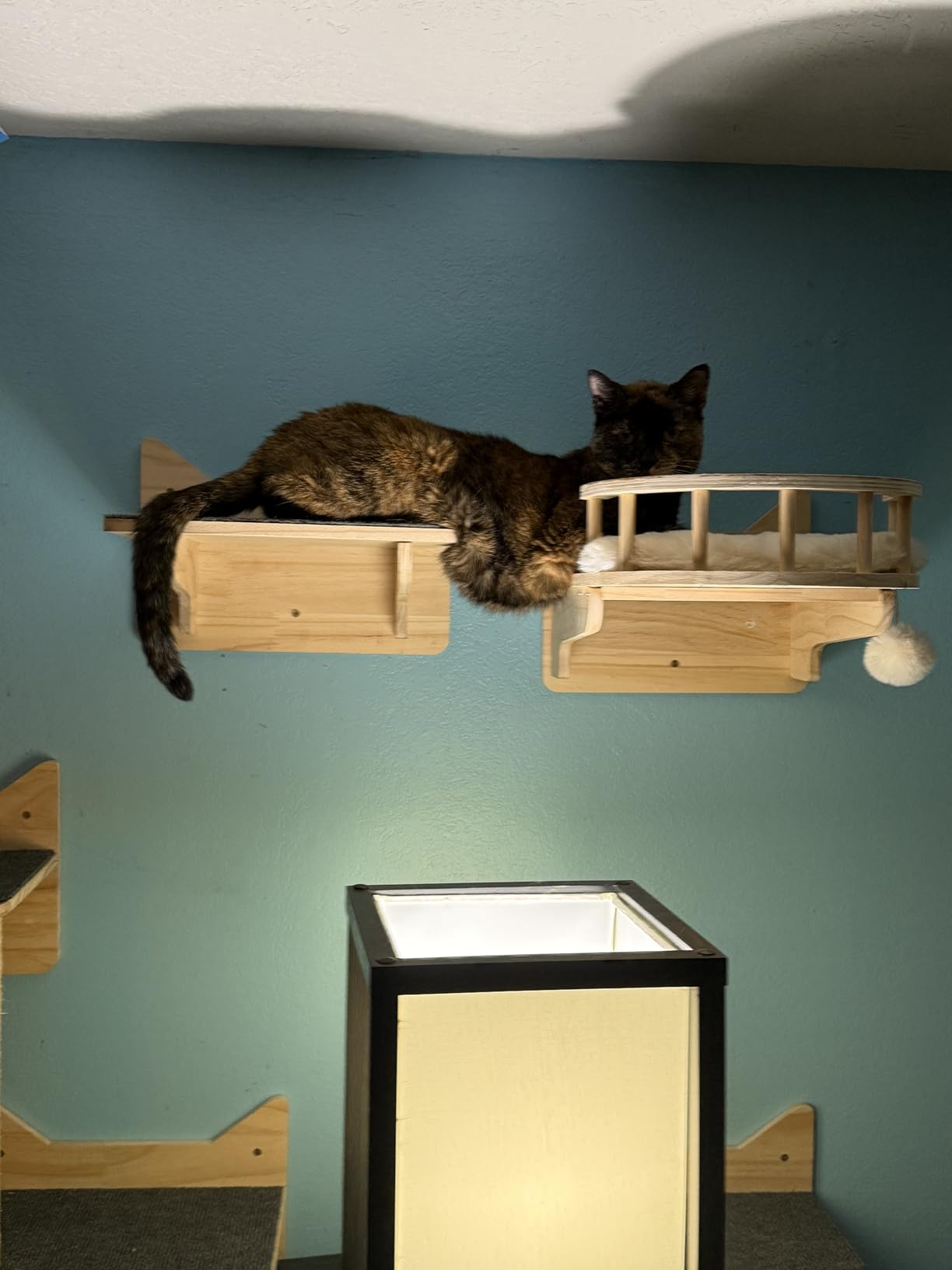 Wall Mounted Cat Tree, Cat Wall Shelves with Sisal Mats customer photo 2