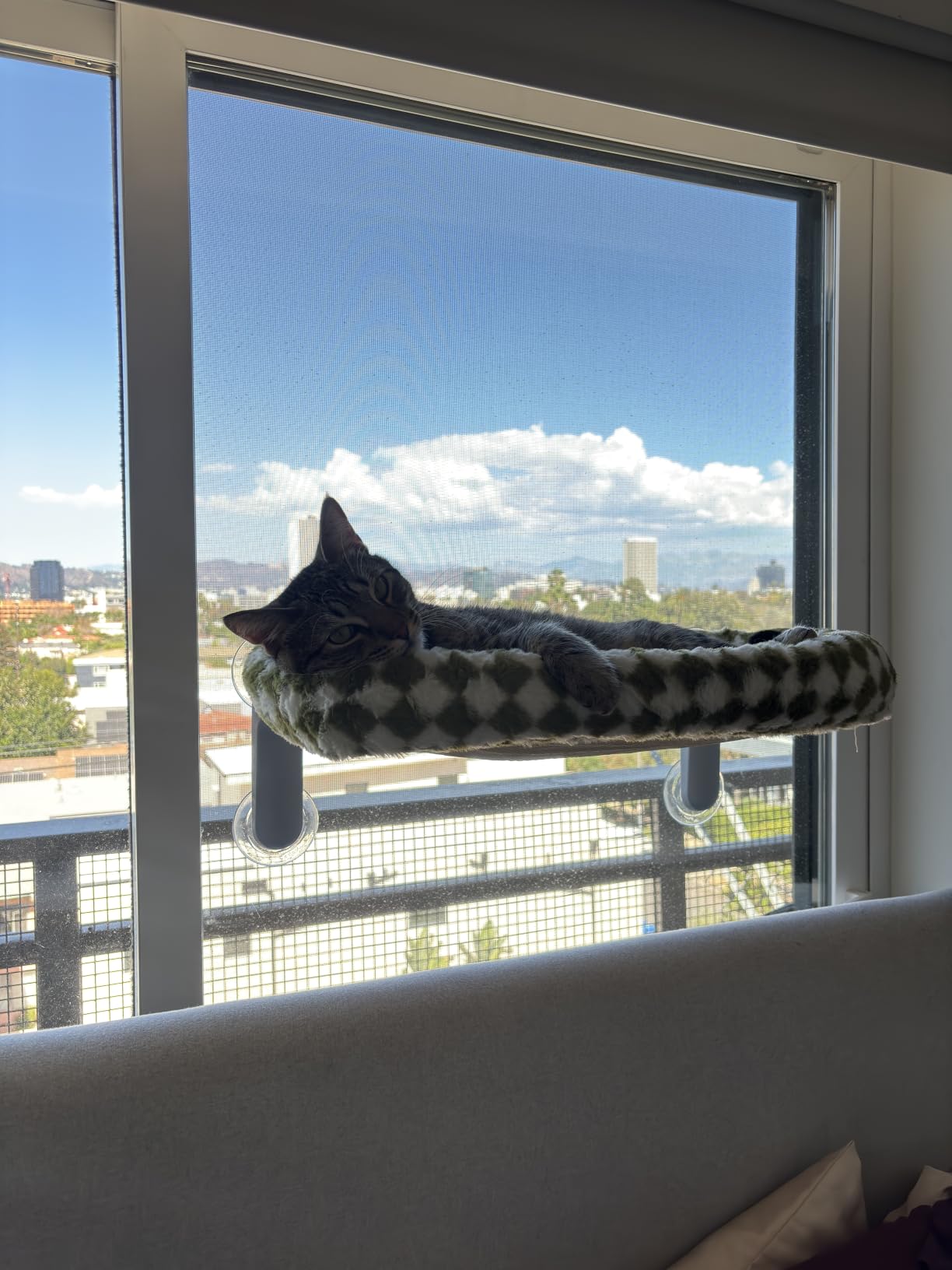 Sunhoo Foldable Cat Window Perch, Large Suction Cup Kitty Hammock, Green customer photo 2