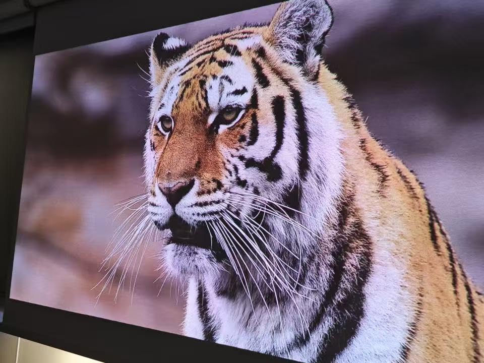 XGIMI MoGo 4 Laser Projector Collection, Outdoor Kit with PowerBase Stand customer photo 2