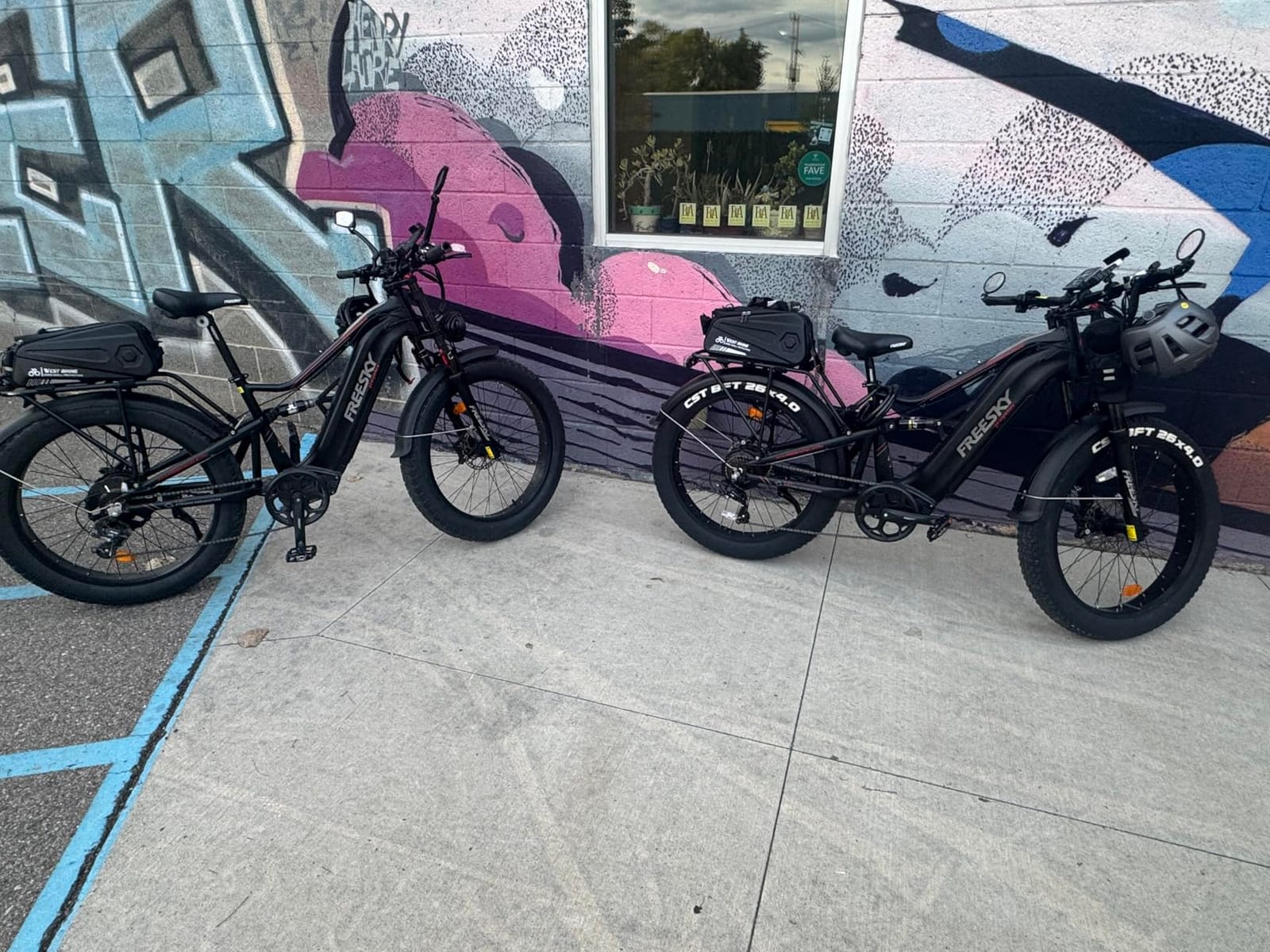 FREESKY Electric Bike for Adults, 4000W BAFANG Motor, 48V 35Ah LG Battery customer photo 2