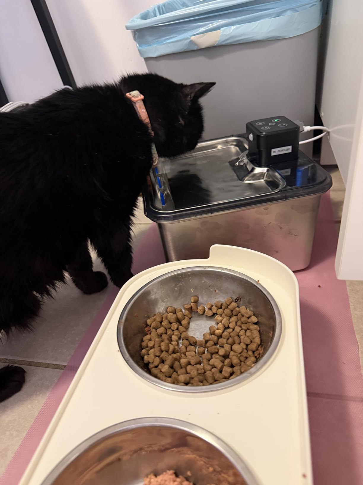 Cordless Cat Water Fountain : [Visual Filter] & [Heavy-Duty Stainless Steel] 3.2L/108oz, FEELNEEDY- Premium, Durable Design, 4000mAh Battery Operated Pet Fountain with Sensor, FN-W17 for Cats and Dogs customer photo 1