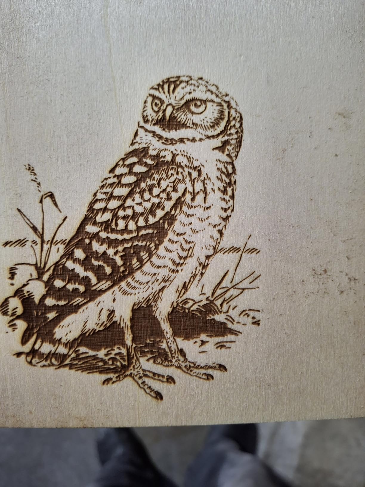 ATOMSTACK Swift 12W Laser Engraver Cutter for Wood & Metal customer photo 2