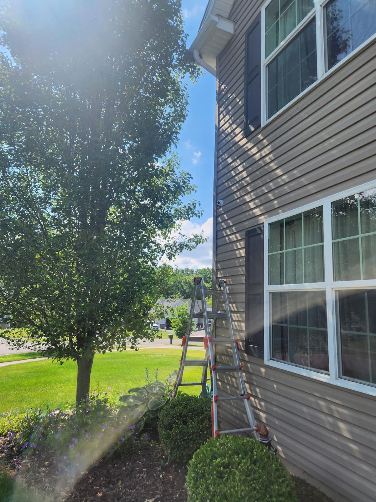 Brushless 2-IN-1 Cordless Pole Saw & Mini Chainsaw, 8 Inch Max Reach 16 Ft customer photo 2