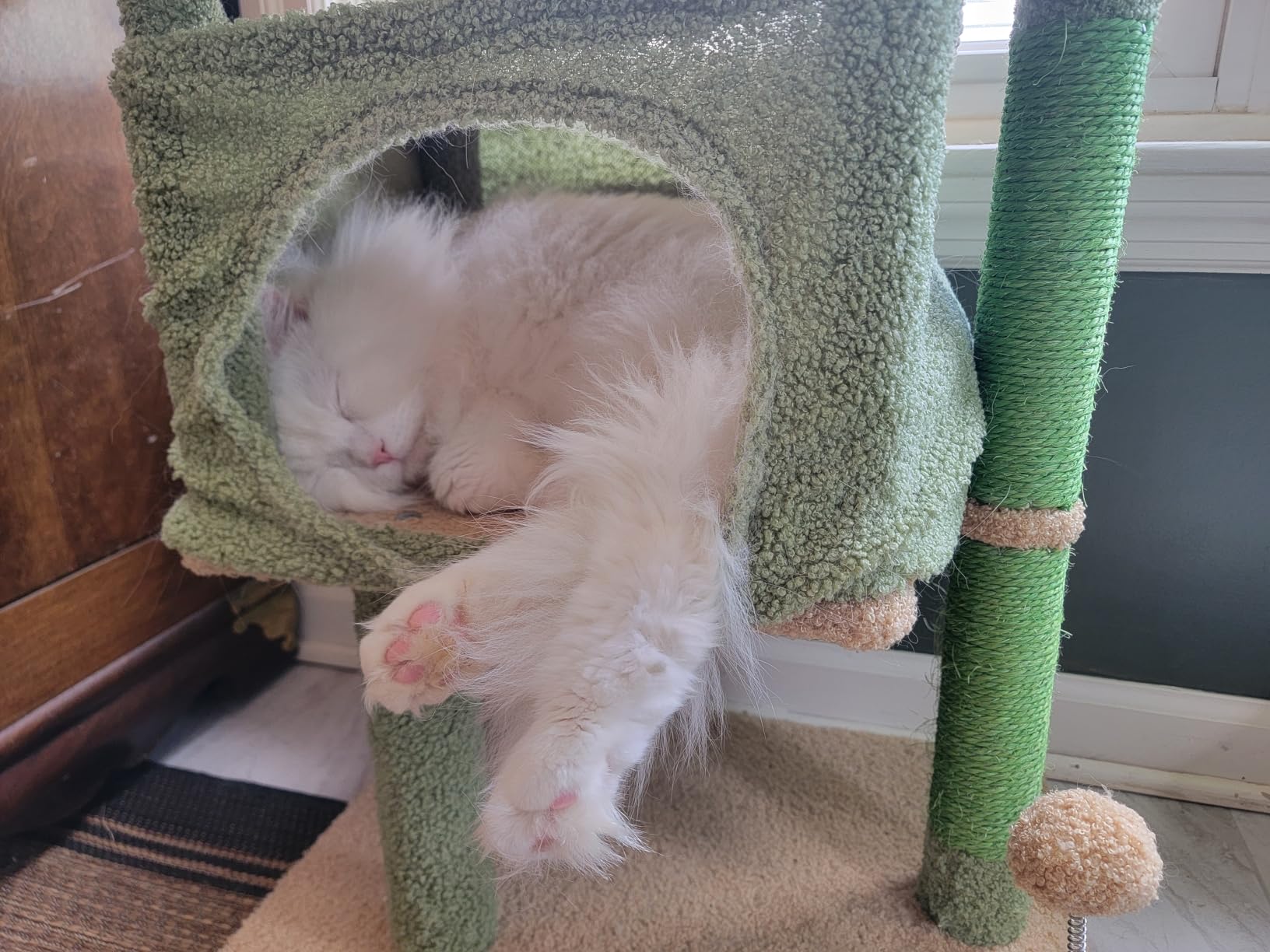 PAWZ Road 26”Cat Tower Cactus Cat Tree for Small Space customer photo 1