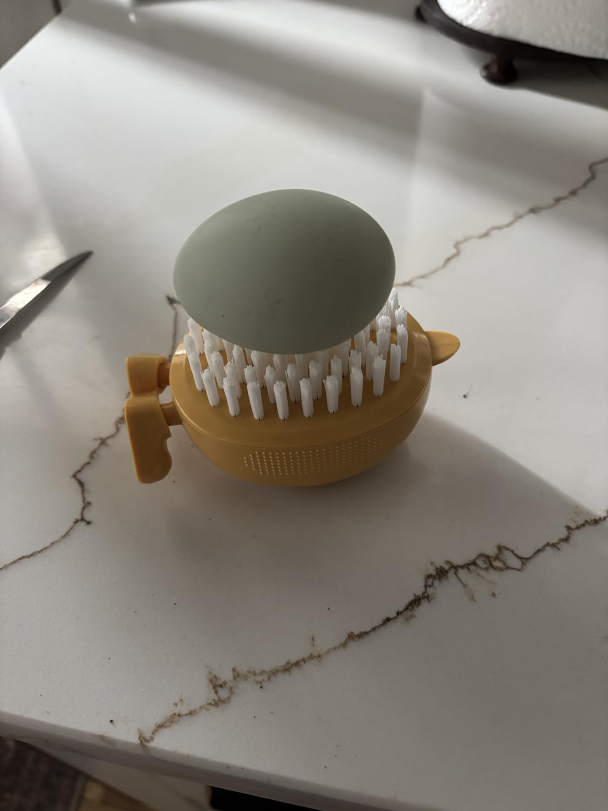 Lumkew Egg Washer Cleaner for Fresh Eggs, Egg Wash and Brush Scrubber, 1pcs customer photo 1