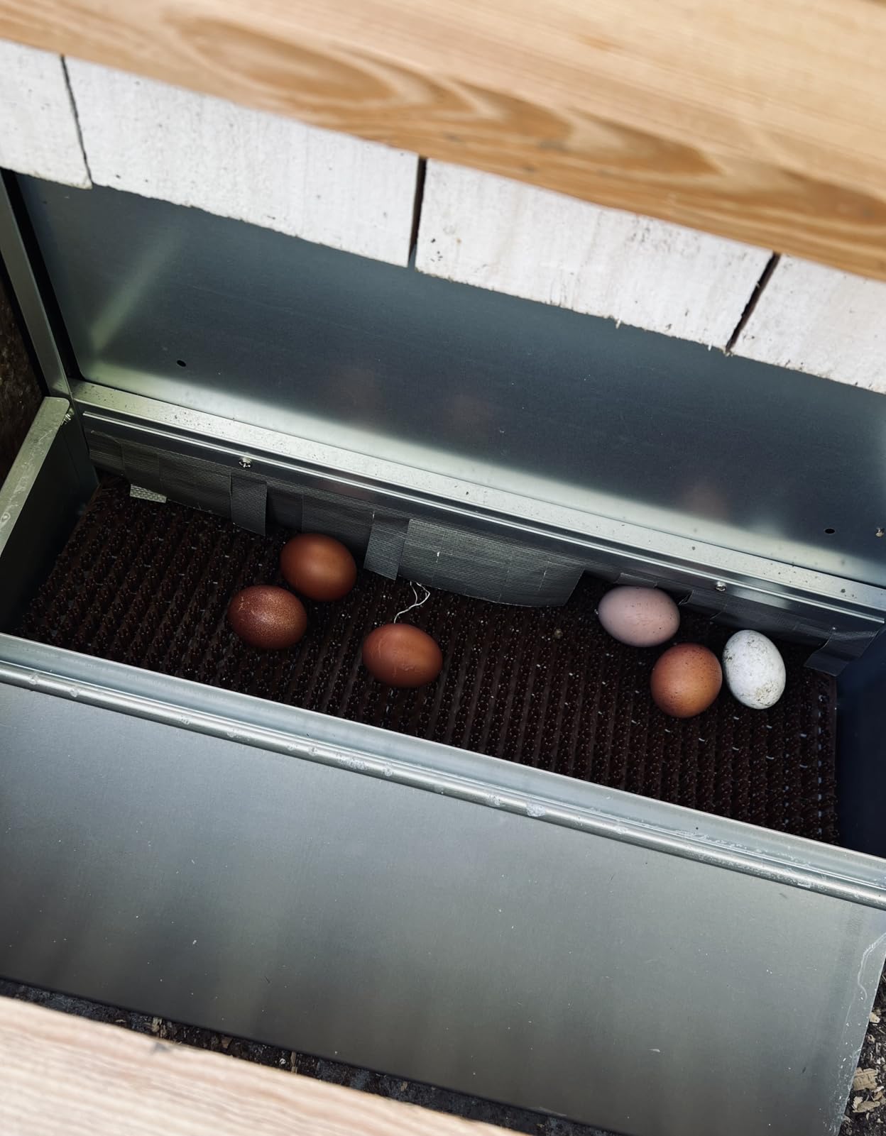 Redants Chicken Nesting Box, Metal Chicken Laying Box with Roll Away Egg Collection, Reversible Wall Mountable Chicken Coop Nesting Boxes for Hens, Ducks, Waterproof, 24