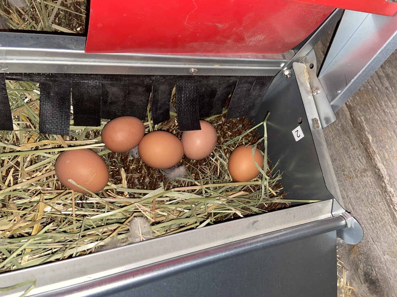 Redants Chicken Nesting Box, Metal Chicken Laying Box with Roll Away Egg Collection, Reversible Wall Mountable Chicken Coop Nesting Boxes for Hens, Ducks, Waterproof, 24