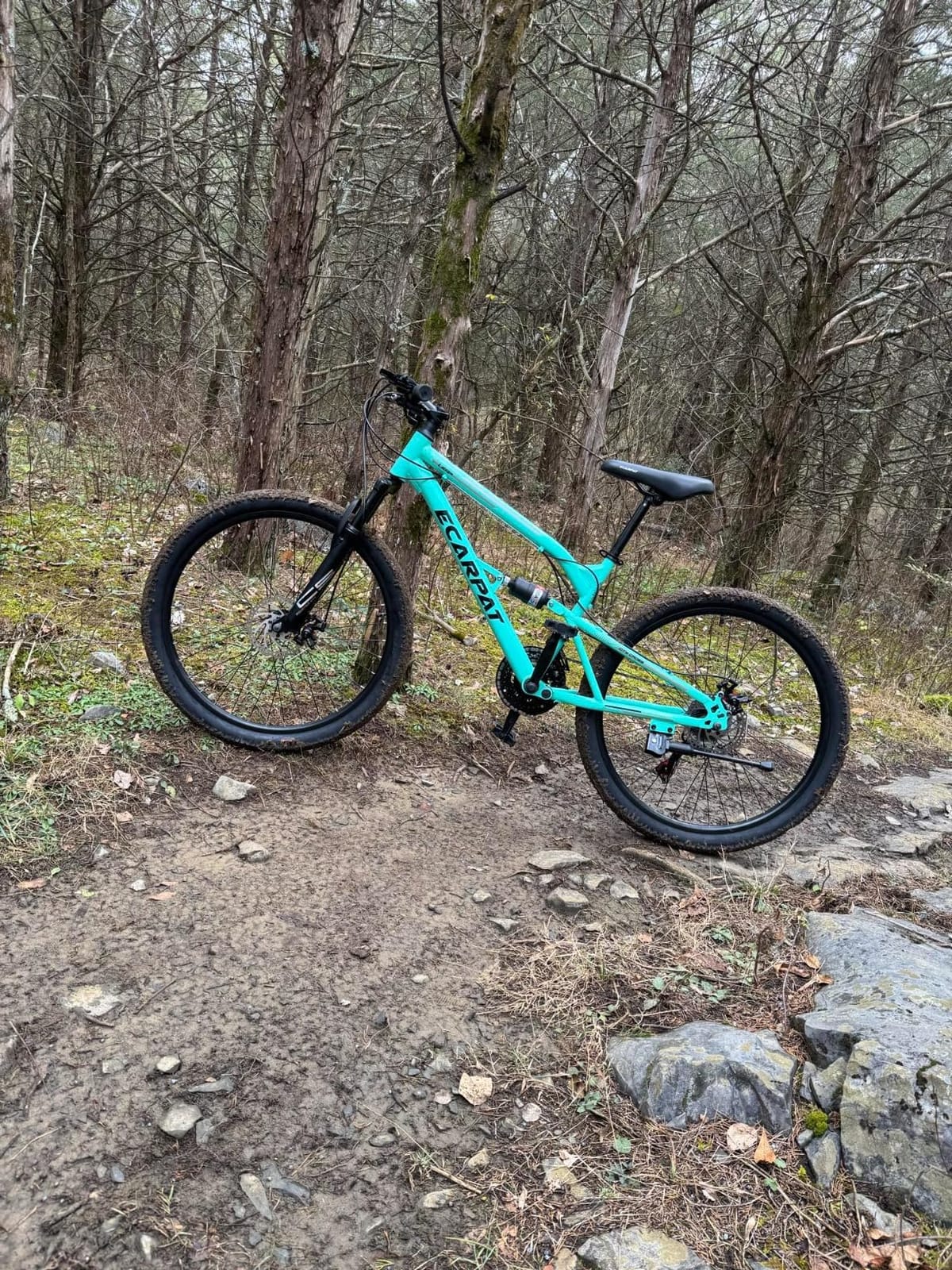Ecarpat 24/26 Inch Girls Women Mountain Bike MTB Bicycle for Girls Women | Durable Steel Frame, 21 Speed Rear Derailleur Twist Grip Shifter, Front and Rear V-Brake Outdoor Cycling Commuting City Bike customer photo 1