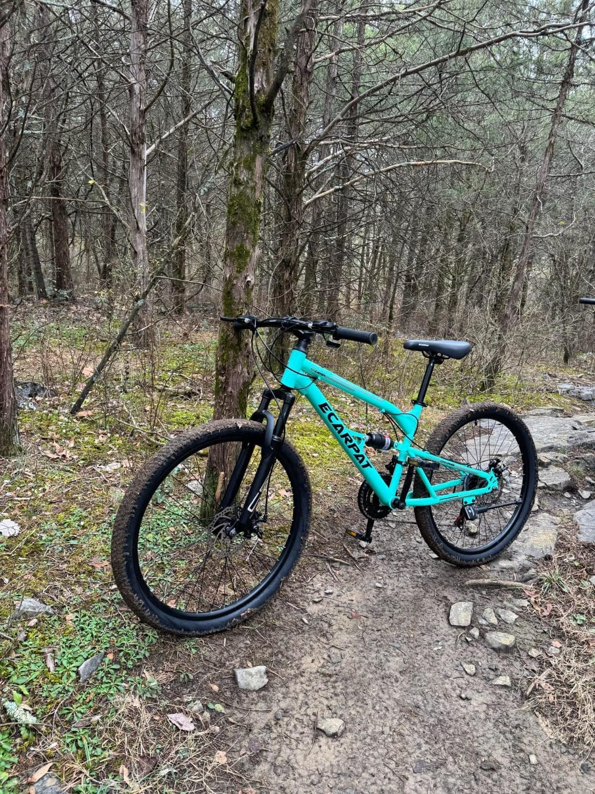 Ecarpat 24/26 Inch Girls Women Mountain Bike MTB Bicycle for Girls Women | Durable Steel Frame, 21 Speed Rear Derailleur Twist Grip Shifter, Front and Rear V-Brake Outdoor Cycling Commuting City Bike customer photo 2