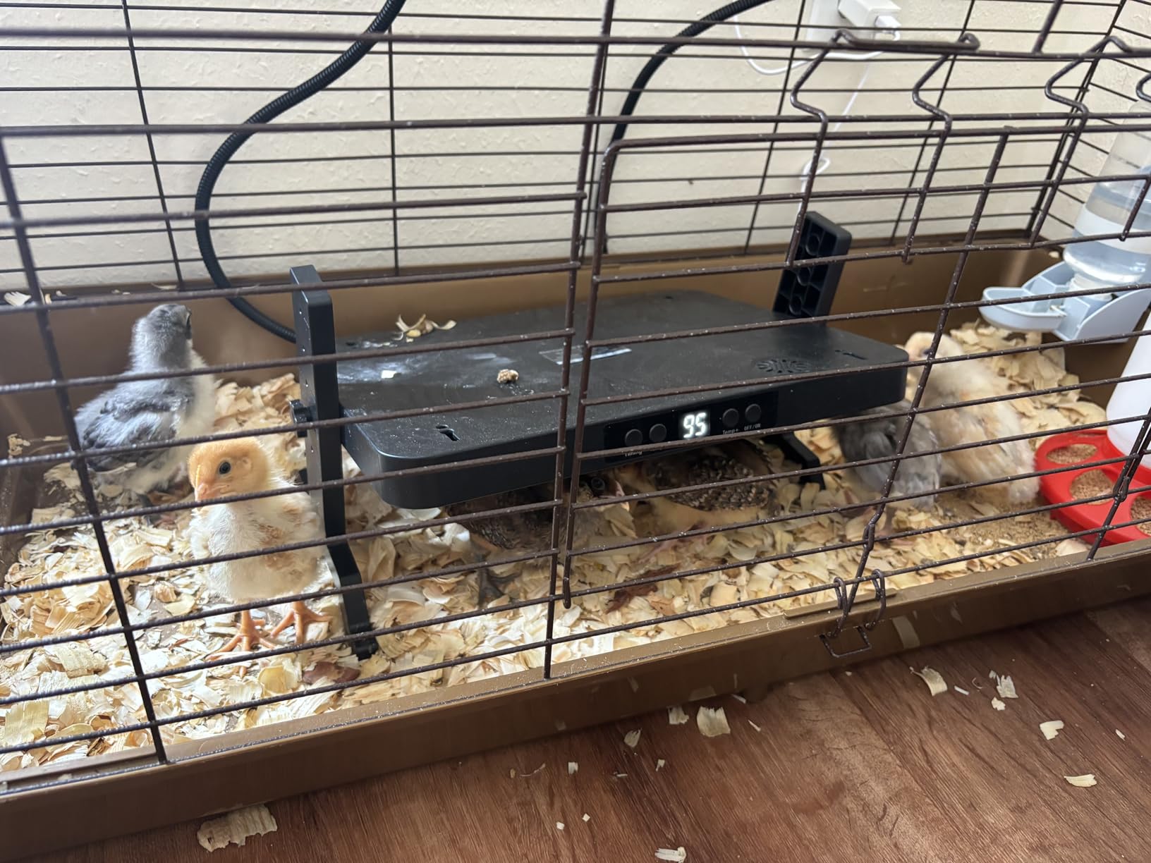 Smart Chicken Coop Heater, 200W Radiant Heat Panel, Adjustable Temp & Timer customer photo 2