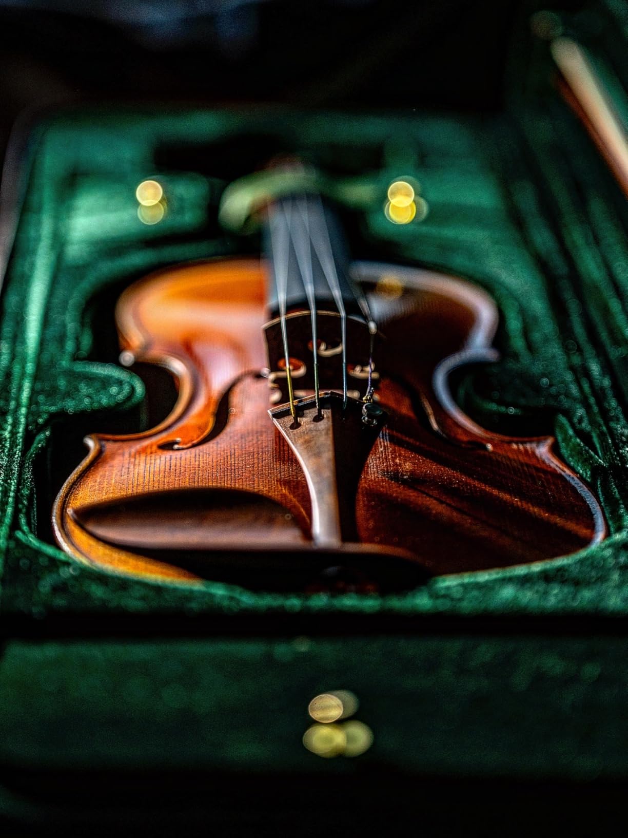 Cremona SV-800 Violin Bundle 4/4 Full Size – Setup, Ready to Play – Case and Accessories – Hand Varnished Select Solid Tonewoods with Relic’d Finish, Ebony Fingerboard and Hill-style Boxwood Fittings customer photo 2