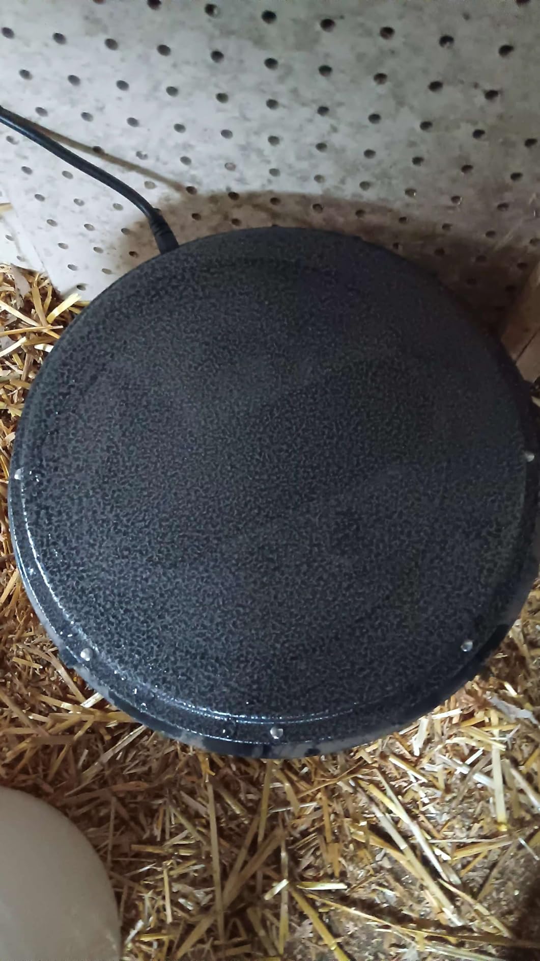 62W Metal Chicken Water Heater for Winter, 13'' Thermostat Chicken Waterer Heater Base for 1-5 Gallon Metal or Plastic Poultry Waterer, Outdoor Weatherproof Poultry Water Heaters for Turkey Goose Duck customer photo 2