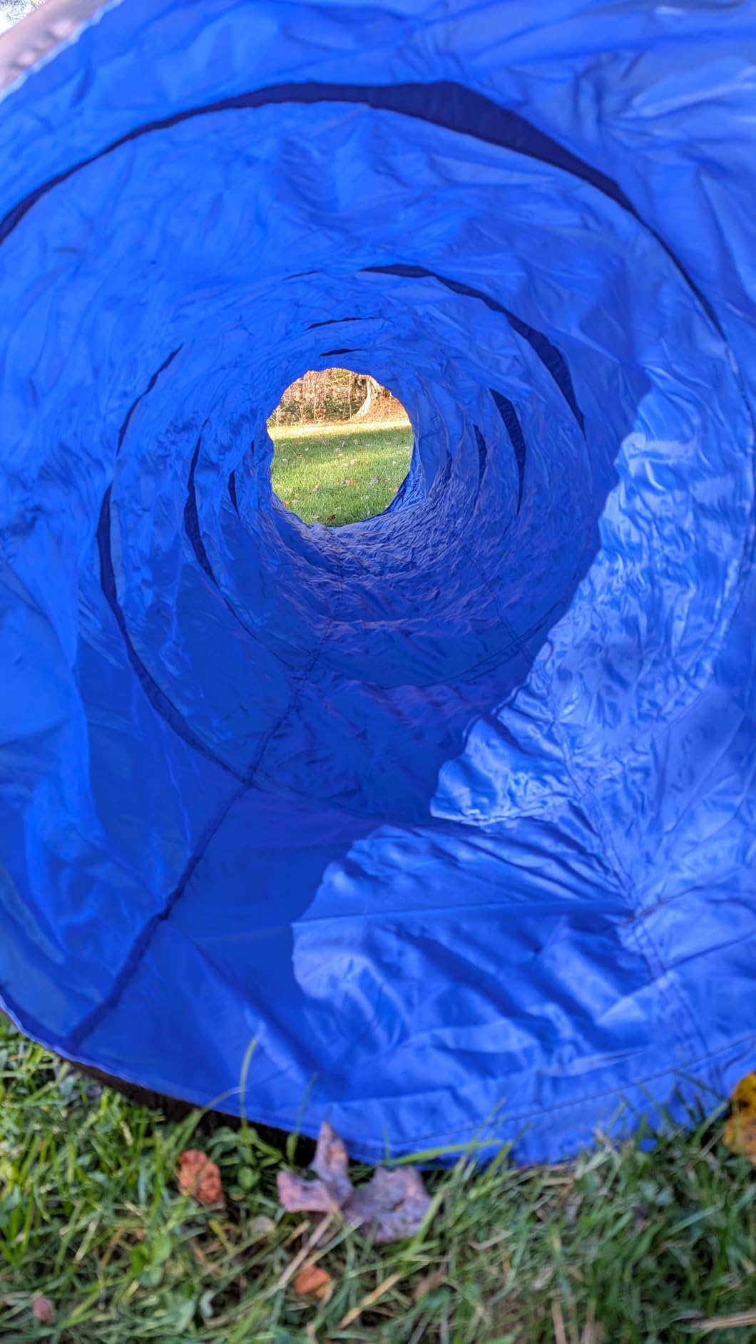 Dog Agility Tunnel with Carry Bag and Ground Spikes, Foldable 10-Foot Tunnel for Dog Training, Dog Agility Equipment for Outdoor, Backyard, Indoor Use, KINETOVOLTA customer photo 1