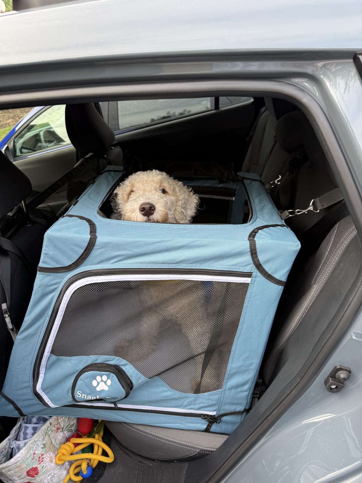 Snagle Paw Portable Dog Crate for Car Travel,Metal Frame Pet Crate,Pet Carrier for Car Back Seat Secures with Headrest Strap and Seatbelt,L customer photo 2