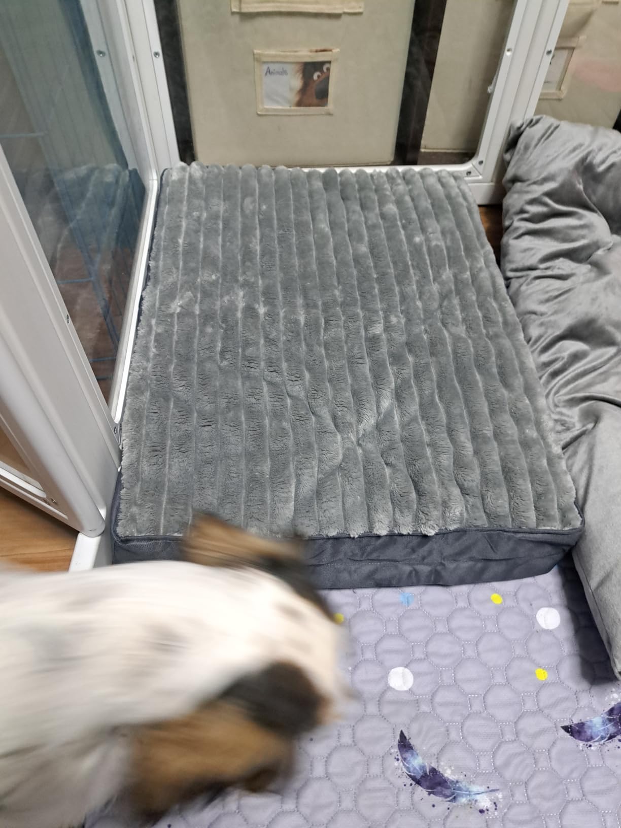 Small Dog Bed Sized Dogs, Orthopedic Flannel Pet Bed with Removable Washable Cover, Waterproof Indestructible Puppy Dog Cot Bed with Anti-Slip Bottom, Egg Crate Memory Foam Pad, 23.0