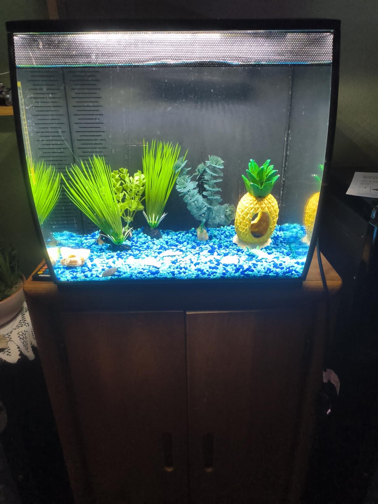 Fluval Flex 2.0 Aquarium Kit, 15 Gallon customer photo 2