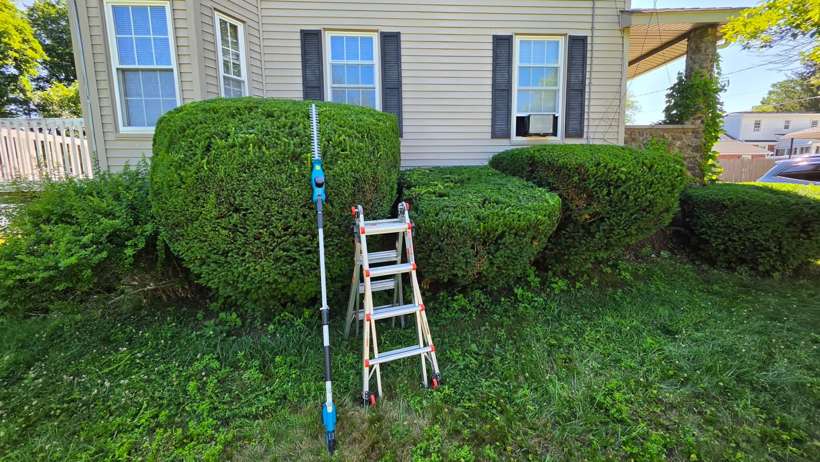 SEESII 20V Pole Hedge Trimmer Cordless, 20