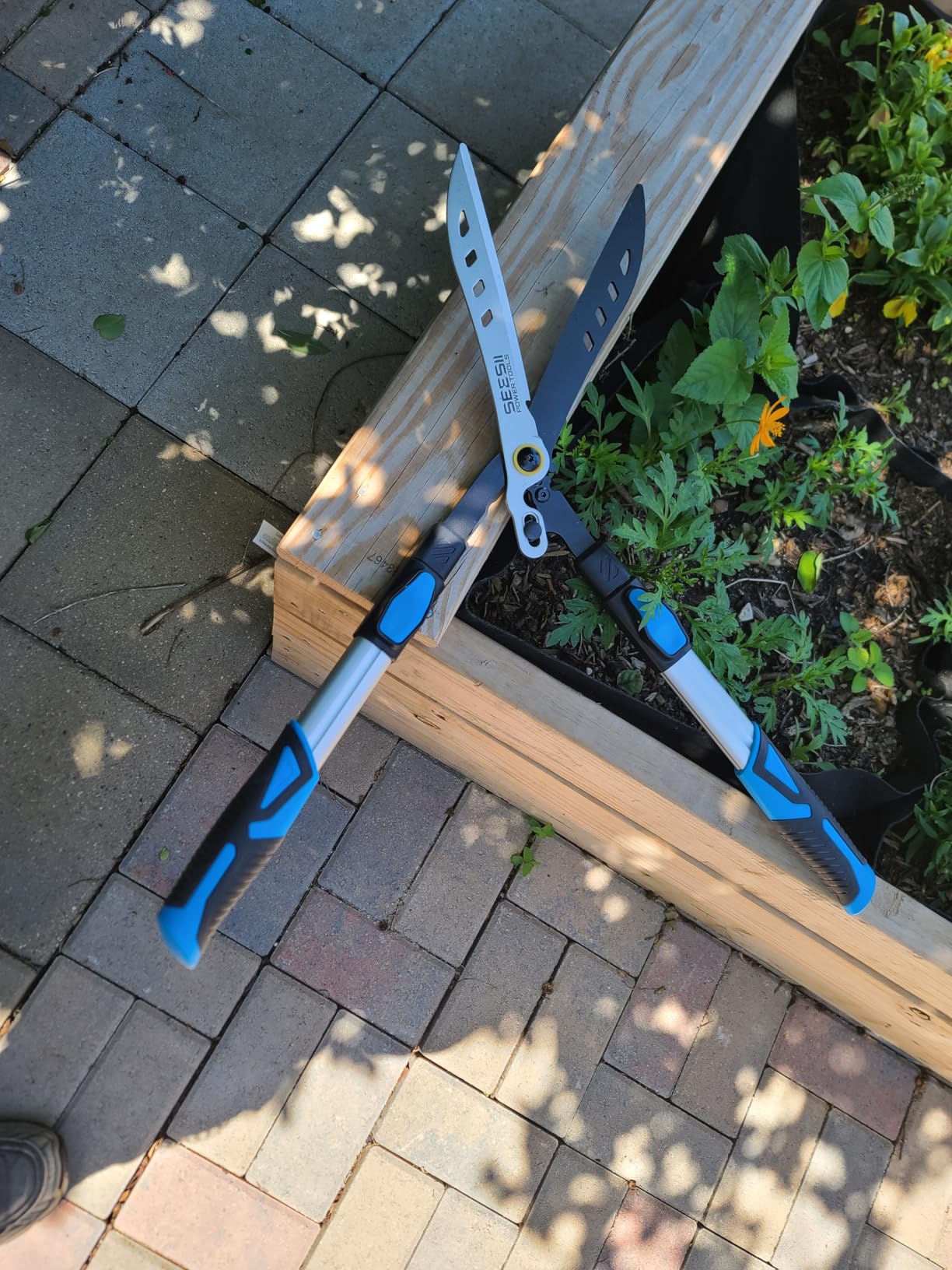 SEESII 20V Pole Hedge Trimmer Cordless, 20