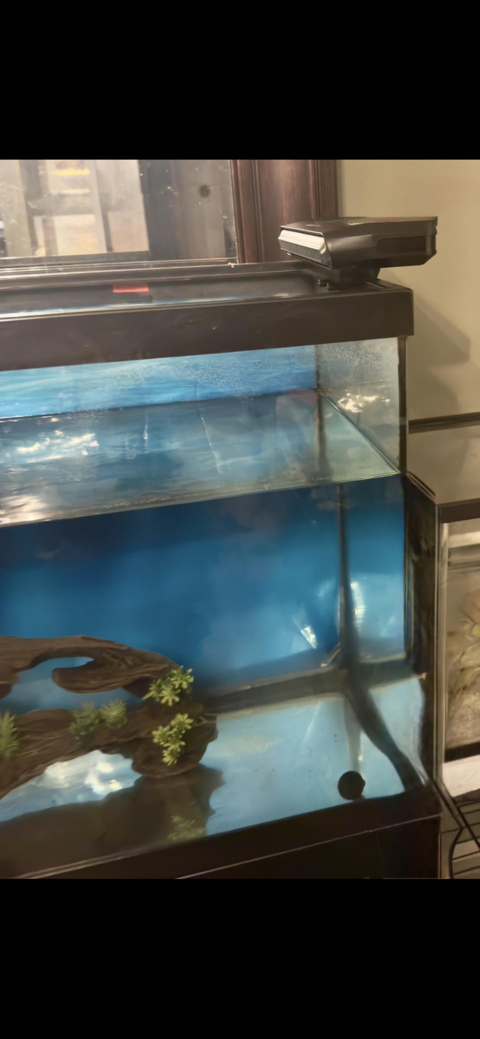 Aquarium Fan,Ultra-Quiet Fish Tank Cooler,More Powerful,Cooling Effect 3-7℉ with 3 Speed Modes Adjustable Applicable Aquariums with or Without Edges, for Axolotl Seawater Freshwater Coral Grass Tank customer photo 2