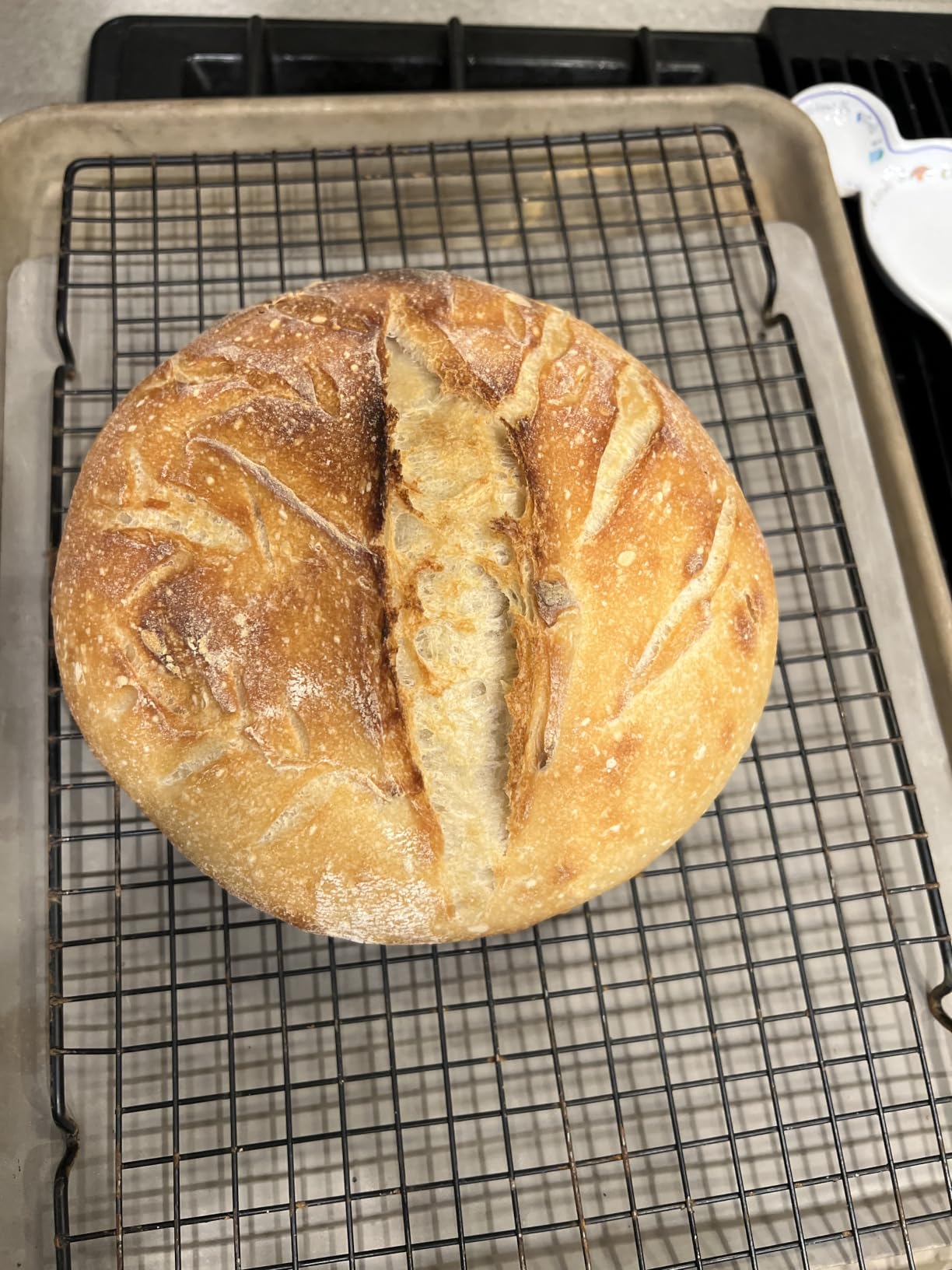 Superbaking Sourdough Starter Kit: 9