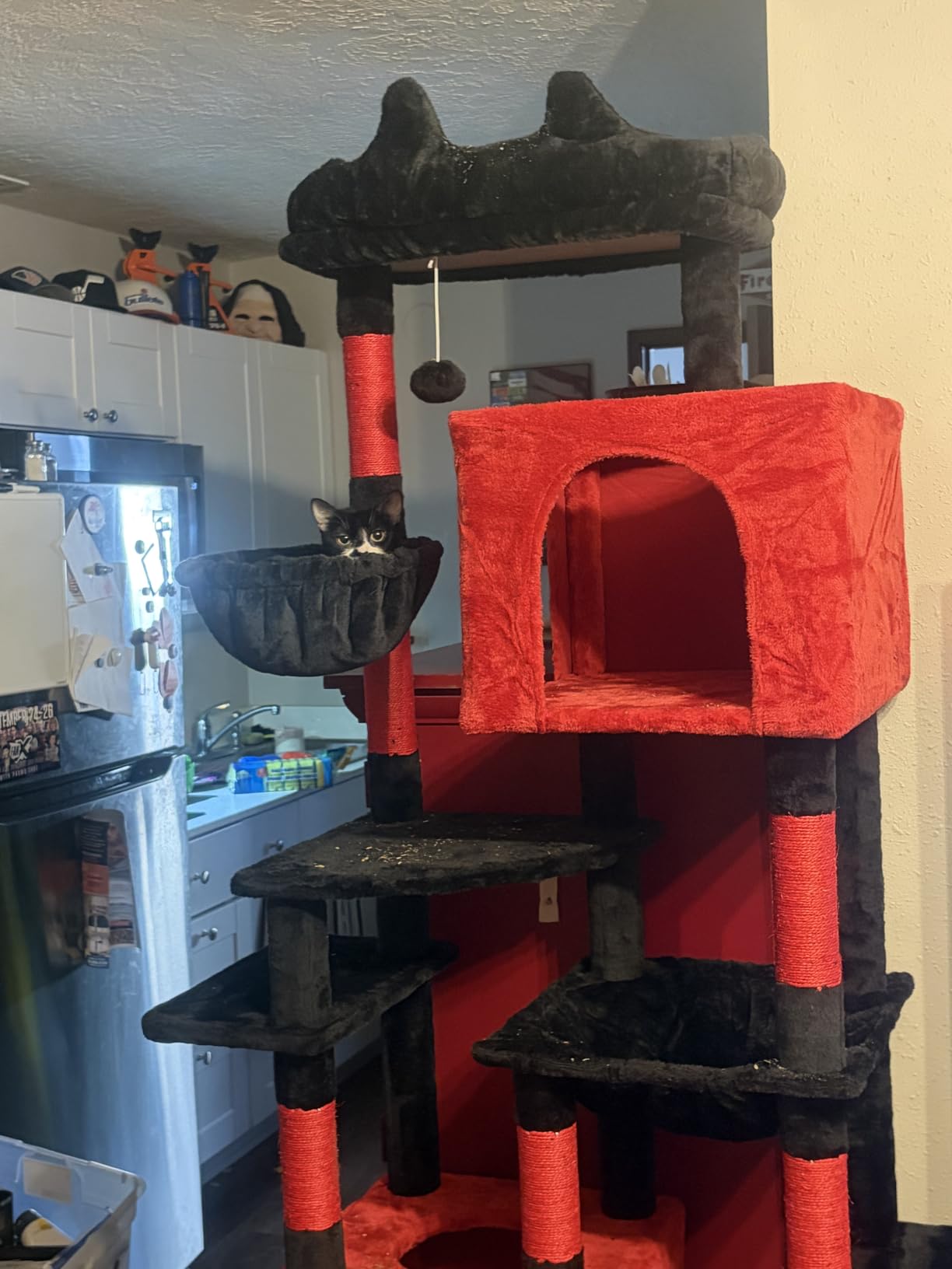 Heybly Cat Tree, 76-Inch Tall Heavy Duty Cat Tower for Big Cats HCT039W customer photo 2