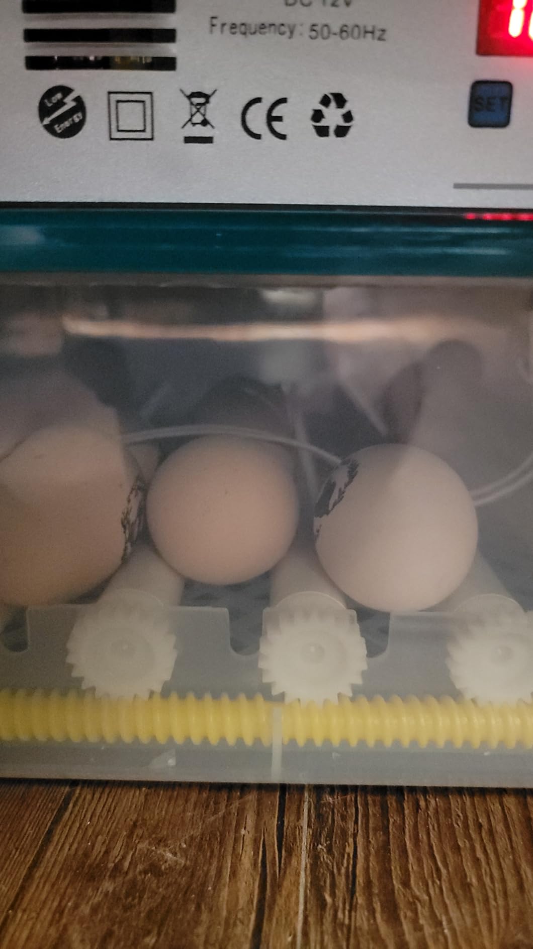 CoInceptus 36 Eggs Incubators for Hatching Eggs,Egg Incubator with 4 Automatic Incubate Mode,Chicken Incubator with Automatic Egg Turning Humidity Display,Quail Egg Incubator with Egg Candle customer photo 2