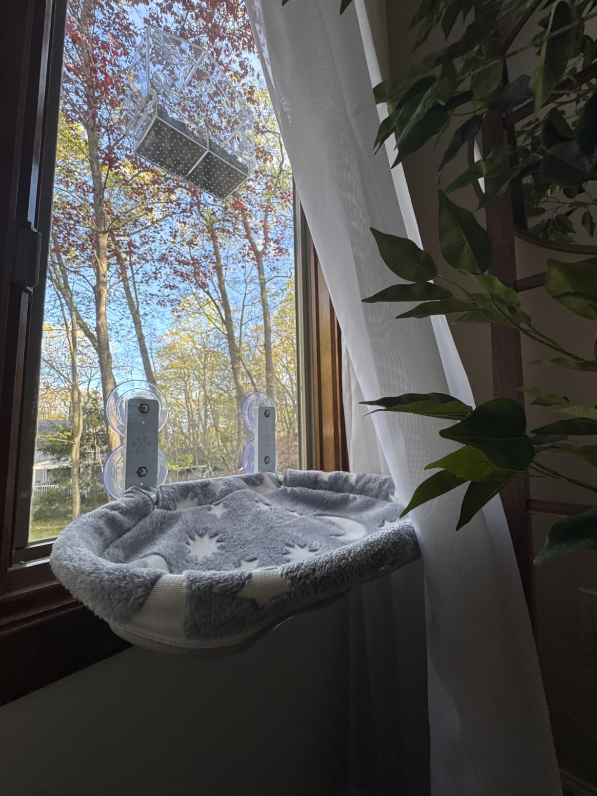 Cat Window Perch Hammock - Glow in the Dark Cordless Foldable Pet Bed with Sturdy Metal Frame & Strong Suction Cups, Star Print Resting Seat for Indoor Cats with Removable Washable Cover customer photo 2