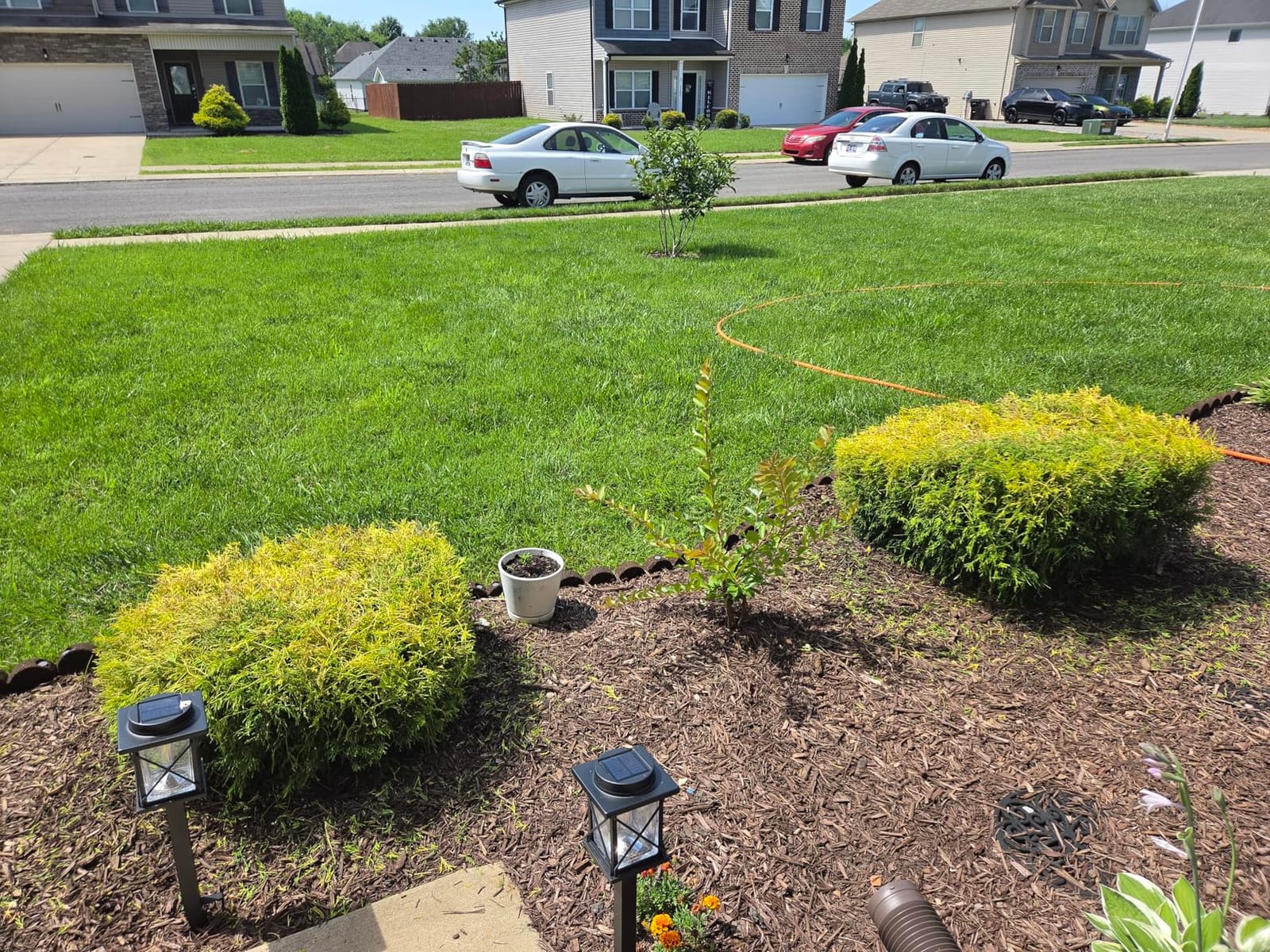 OGERY 21V Cordless Hedge Trimmer & Grass Shears, 2-in-1 Powerful Dual Batteries Electric Bush Trimmer with 8.9” Hedge Blade & 5.1” Grass Trimmer, Adjustable Angle, Lightweight for Garden & Lawn Care customer photo 1