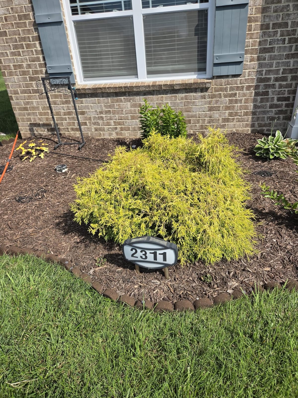 OGERY 21V Cordless Hedge Trimmer & Grass Shears, 2-in-1 Powerful Dual Batteries Electric Bush Trimmer with 8.9” Hedge Blade & 5.1” Grass Trimmer, Adjustable Angle, Lightweight for Garden & Lawn Care customer photo 2