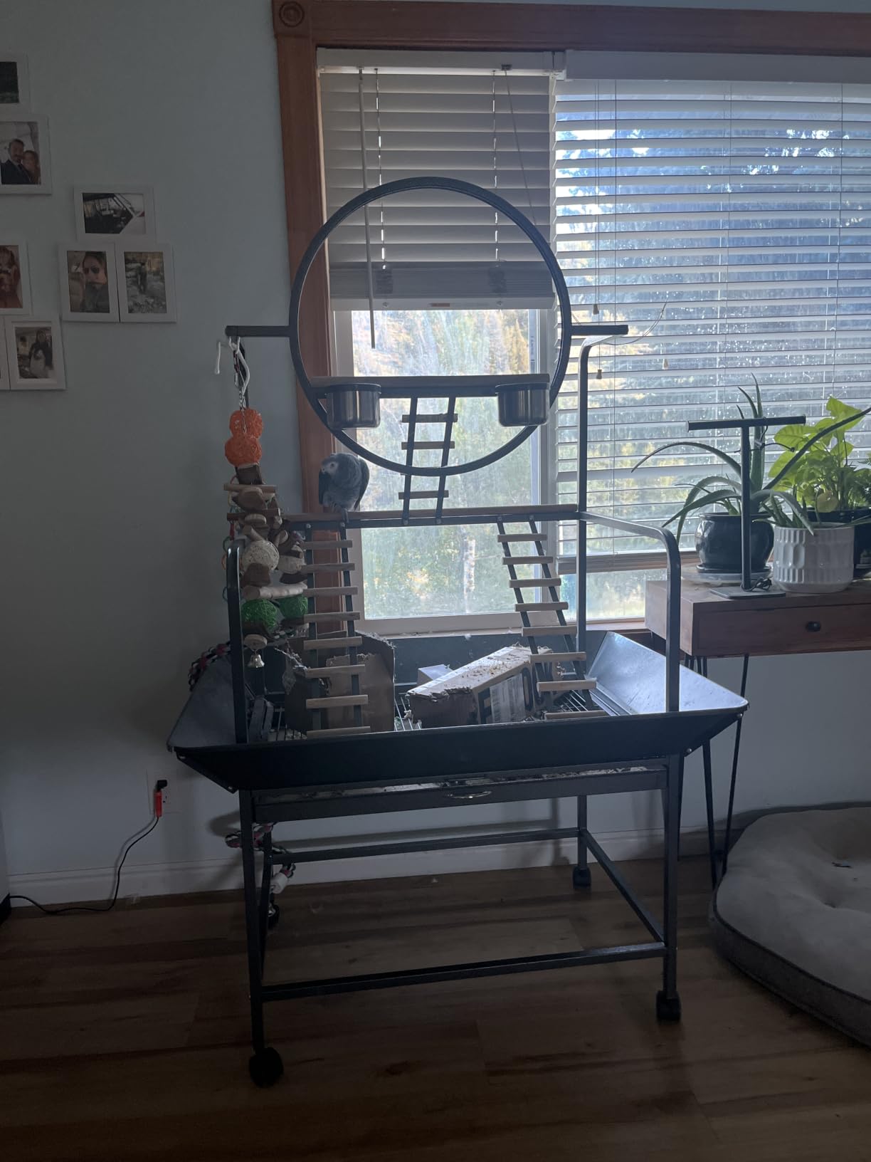 Garvee 64'' H Inch Birdcage Stand Play Center with Perches and Ladders customer photo 1