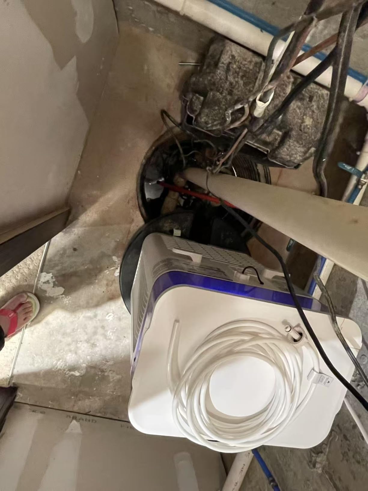 avylo Dehumidifier for Basement with Pump and Hose, Max 90 Pints/D, White customer photo 1