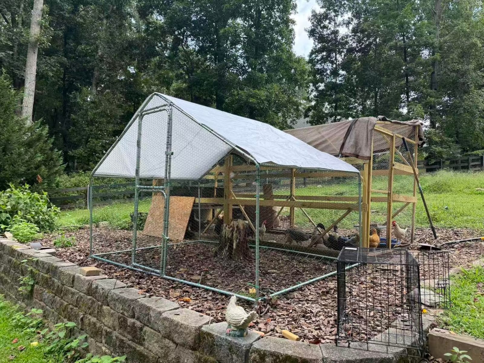 UDPATIO Large Metal Chicken Coop Walk in– Heavy Duty Outdoor Poultry Run with Protective Cover for 15-25 Chickens, Ducks, or Rabbits | Predator-Proof & Weather-Resistant customer photo 1