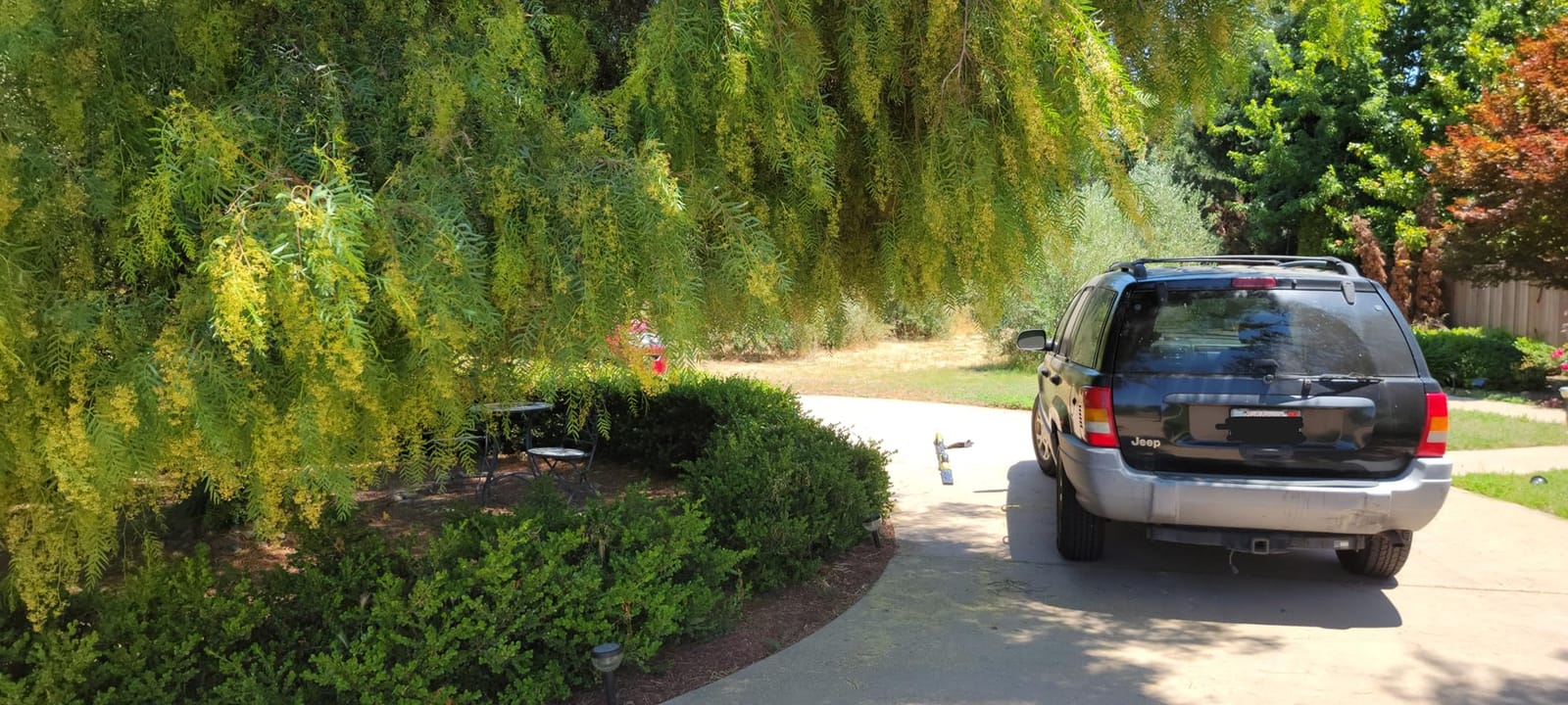 SEYVUM 20V Cordless Pole Hedge Trimmer, Bush & Shrub Cutter, 20-Inch Blade customer photo 2