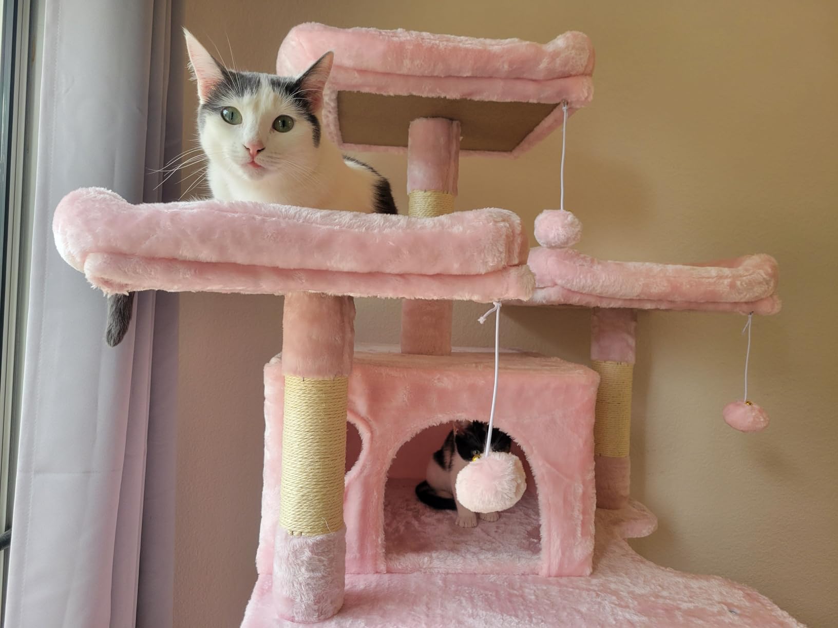 SHA CERLIN 81 Inches Extra Large Cat Tree for Indoor Adult Cats/XXL Big Cat Tower with Condo/Cozy Perches/Sisal Scratching Posts and Hammocks/Activity Center/F80/Heavy Duty/Grey customer photo 2