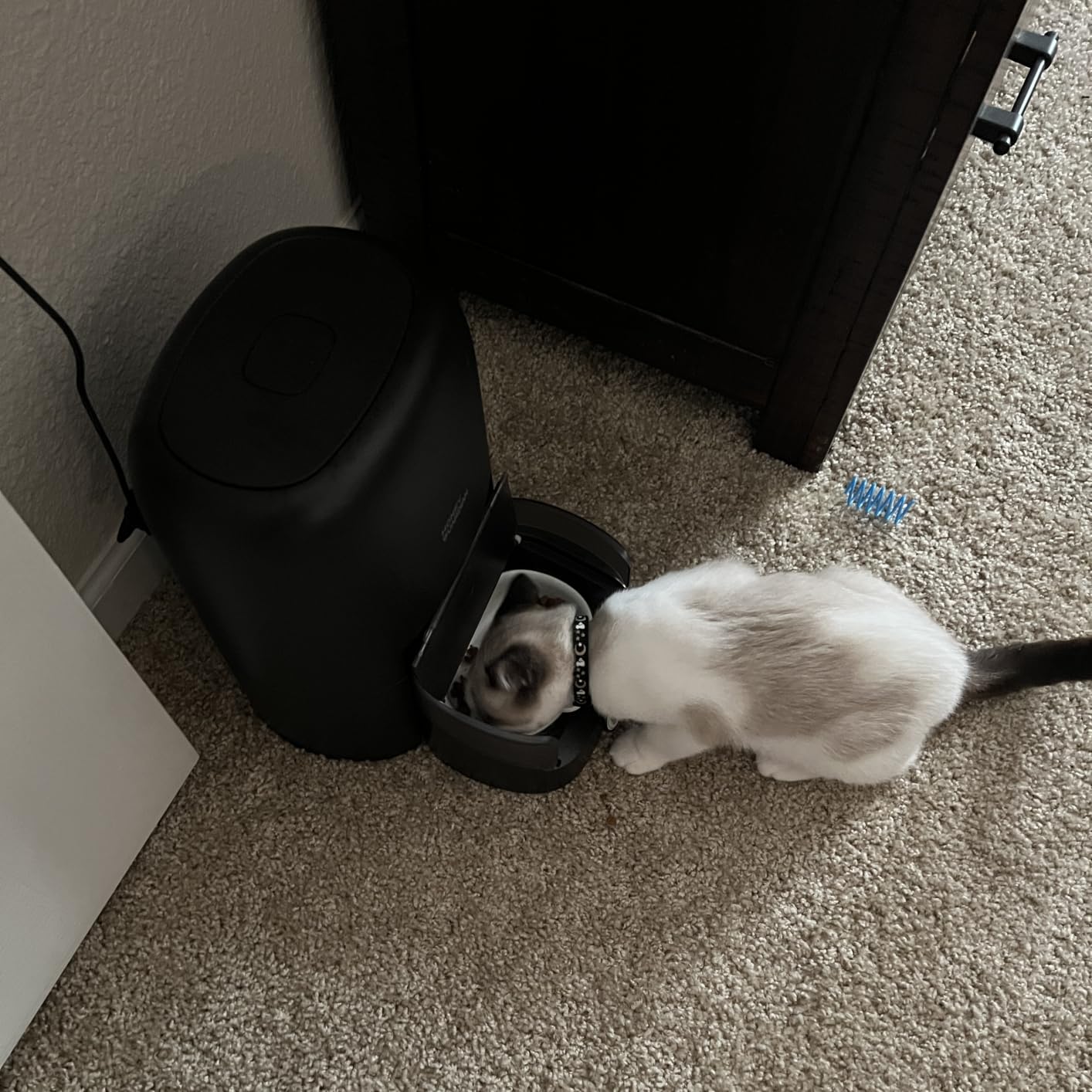 HoneyGuaridan RFID Automatic Cat Feeder,Collar Tag for Personalized Meal customer photo 2