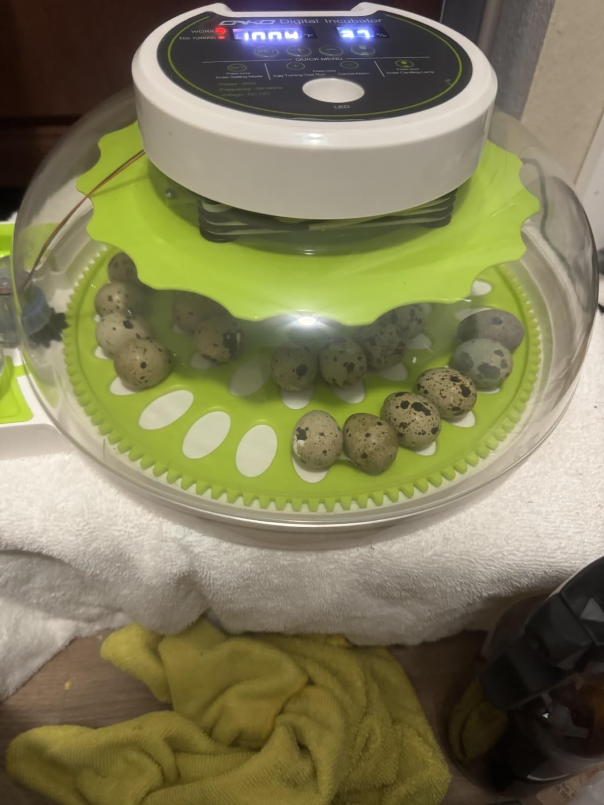 40 Quail Egg Incubator with Automatic Egg Turning Humidity Control Eggs customer photo 2